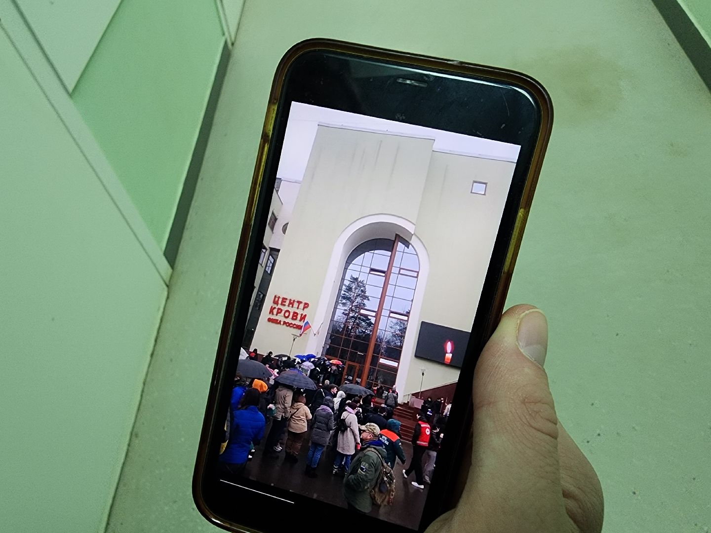 красноармейск, г.о. пушкинский, волонтер, крокус сити холл,