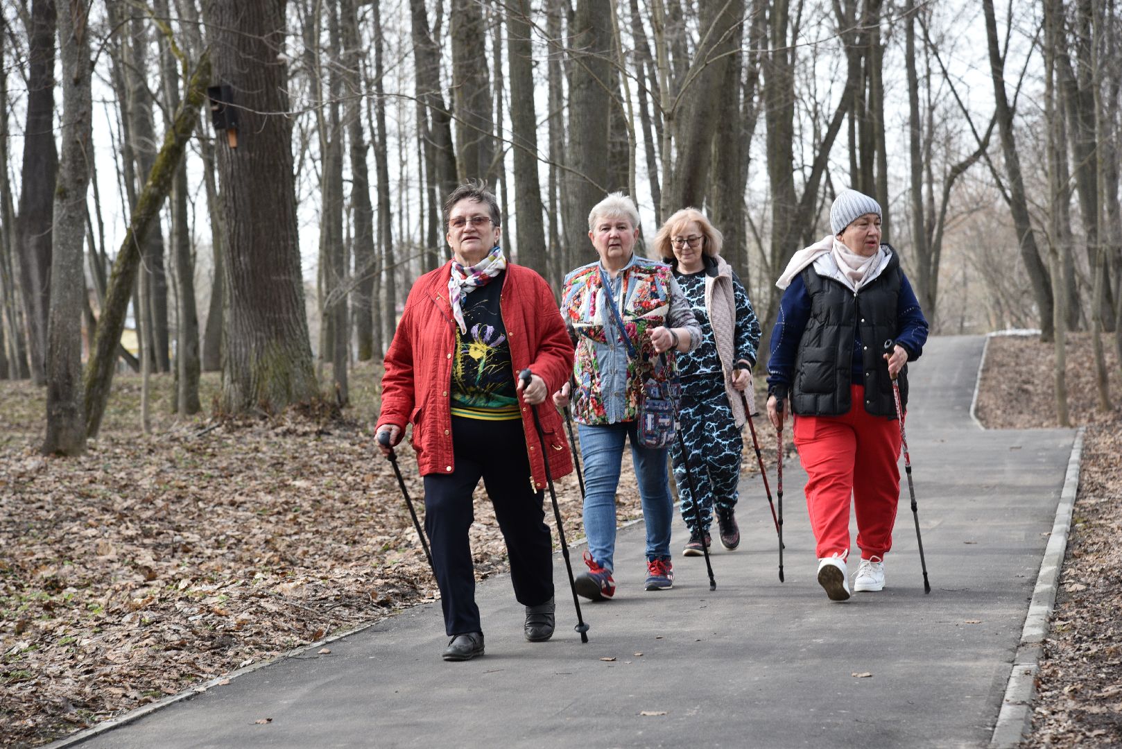 лотошино, лотошинский парк, активное долголетие, скандинавская ходьба,