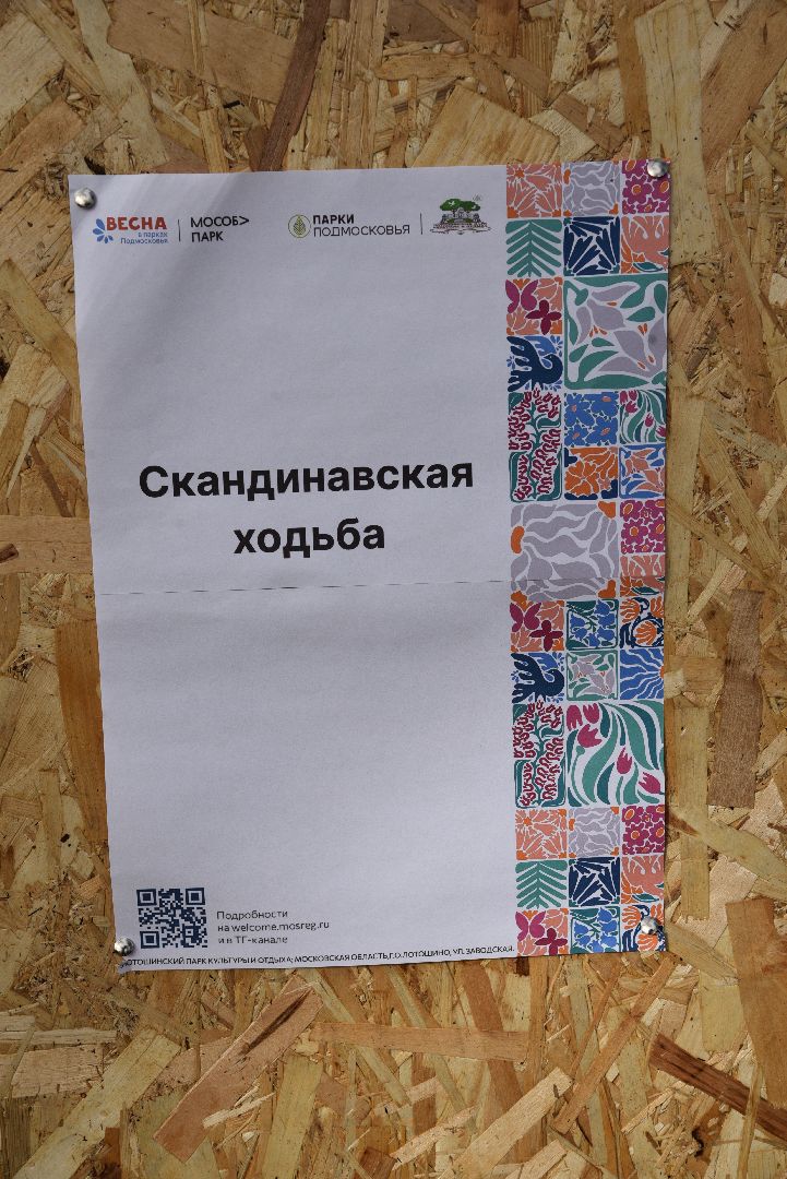 лотошино, лотошинский парк, активное долголетие, скандинавская ходьба,