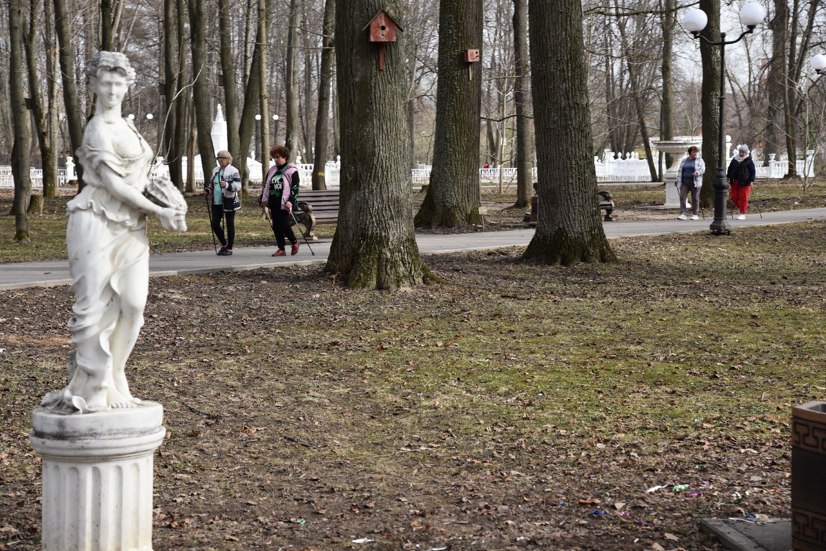 лотошино, лотошинский парк, активное долголетие, скандинавская ходьба,