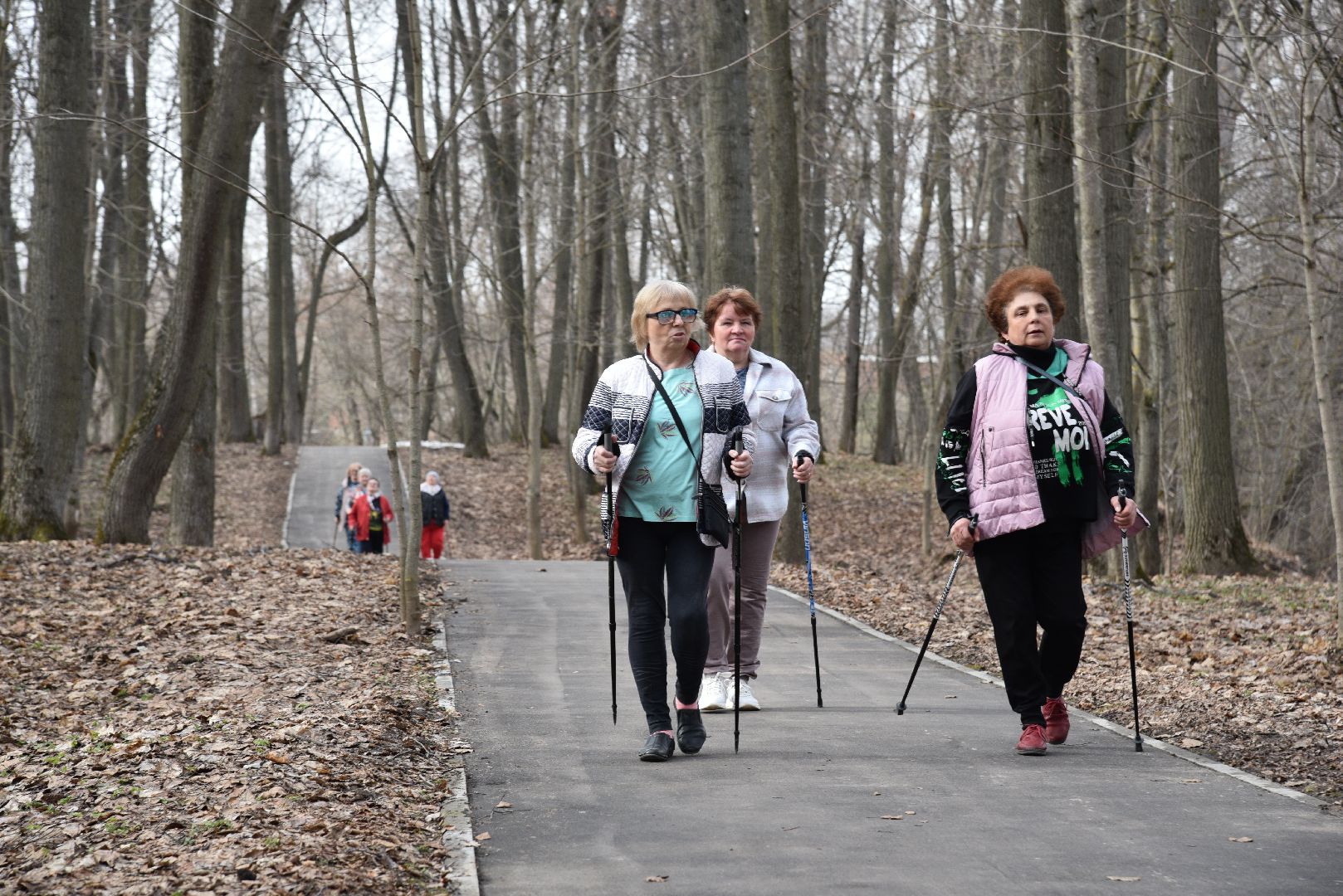 лотошино, лотошинский парк, активное долголетие, скандинавская ходьба,