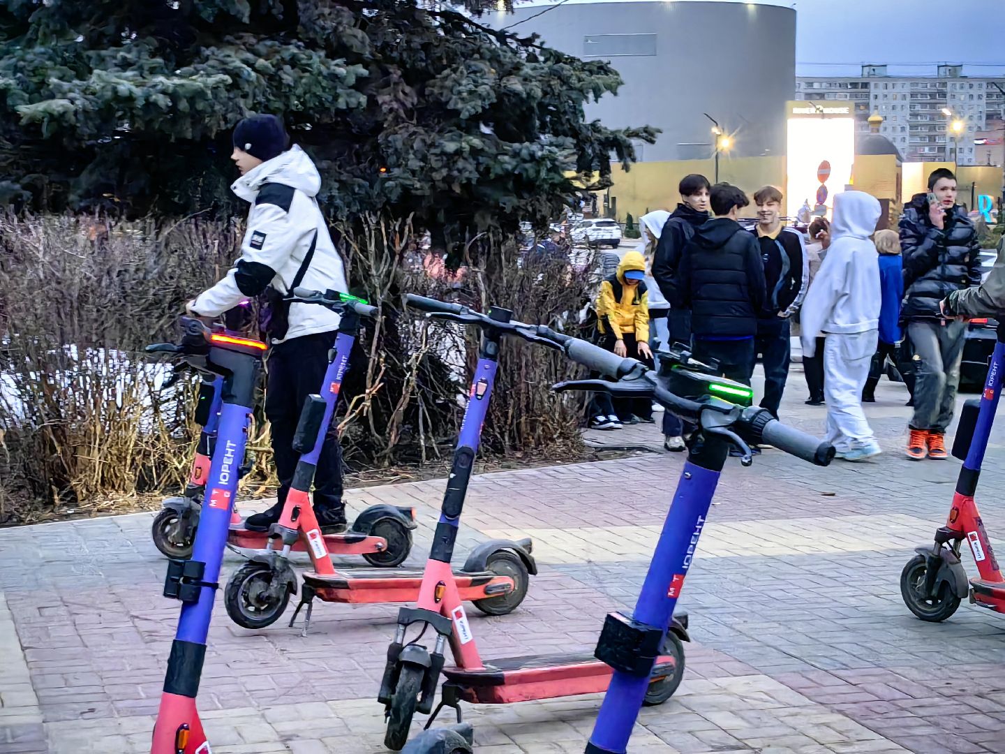 кикшеринг, самокат, велосипед, электросамокат, сезон,