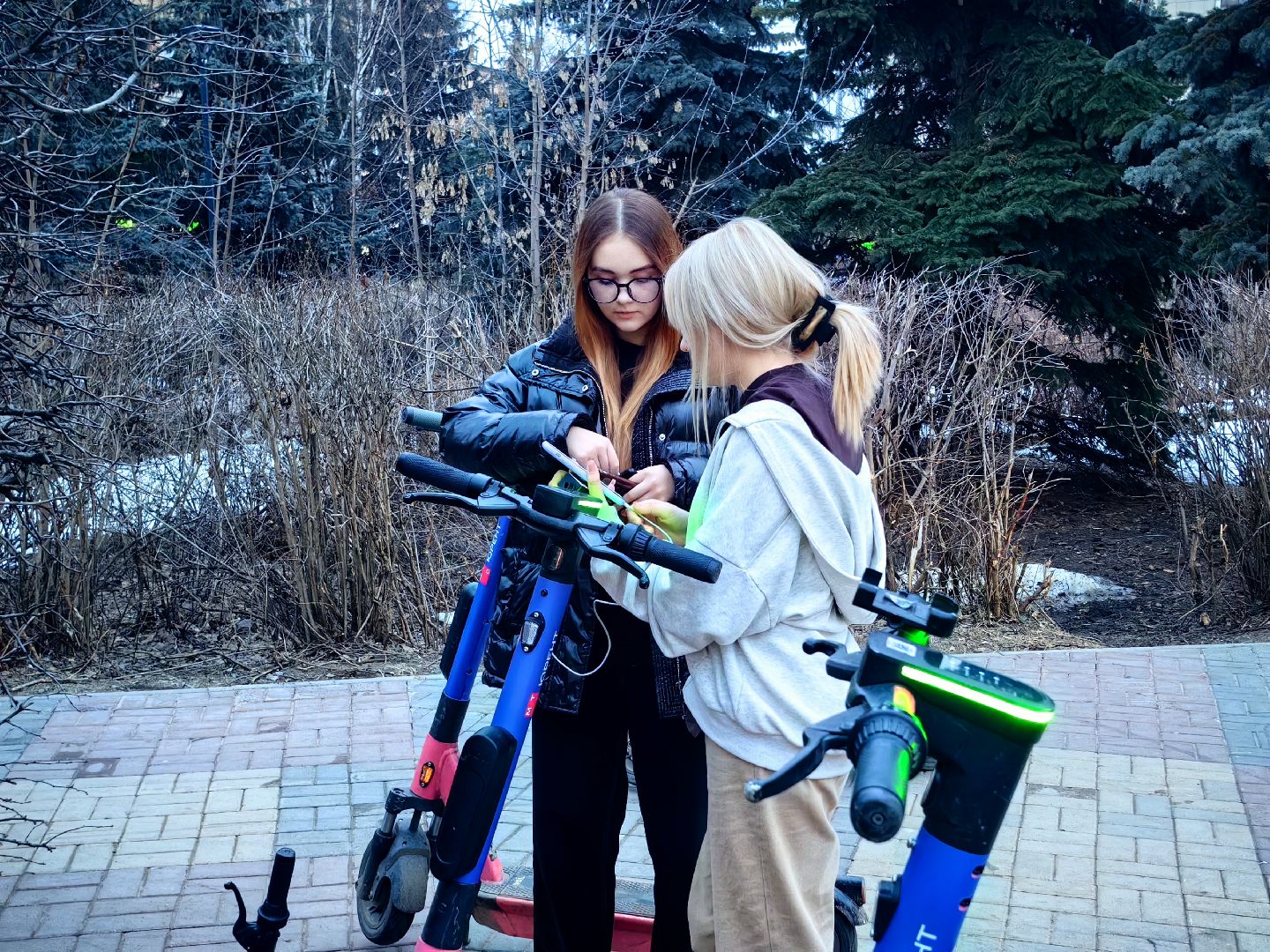 кикшеринг, самокат, велосипед, электросамокат, сезон,