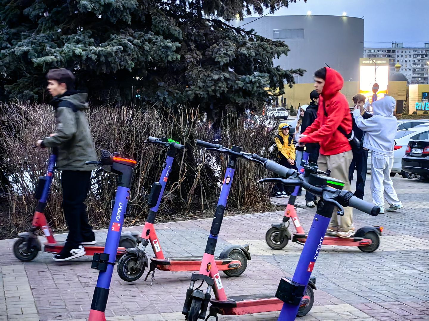 кикшеринг, самокат, велосипед, электросамокат, сезон,