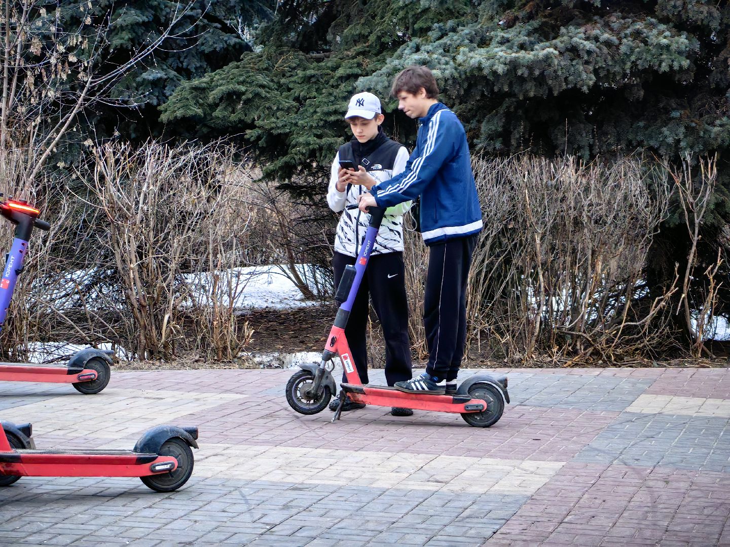 кикшеринг, самокат, велосипед, электросамокат, сезон,