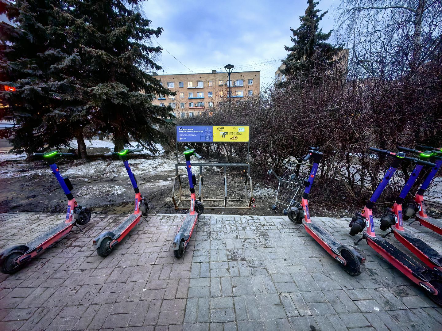 кикшеринг, самокат, велосипед, электросамокат, сезон,