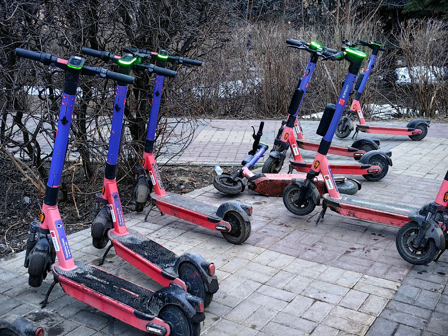 кикшеринг, самокат, велосипед, электросамокат, сезон,