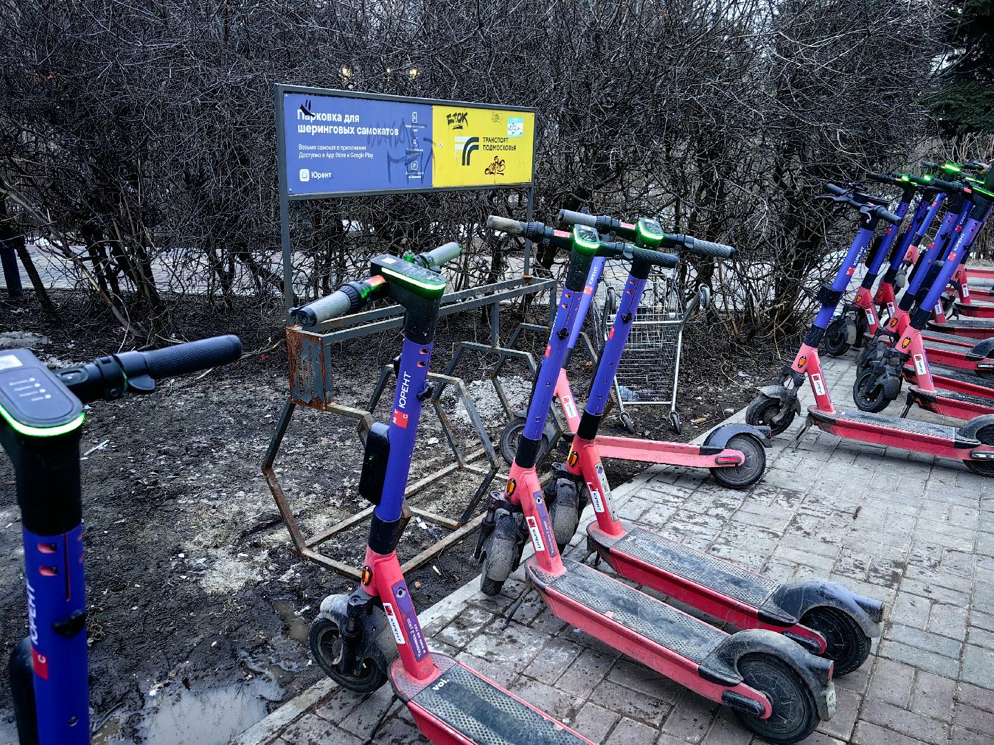 кикшеринг, самокат, велосипед, электросамокат, сезон,