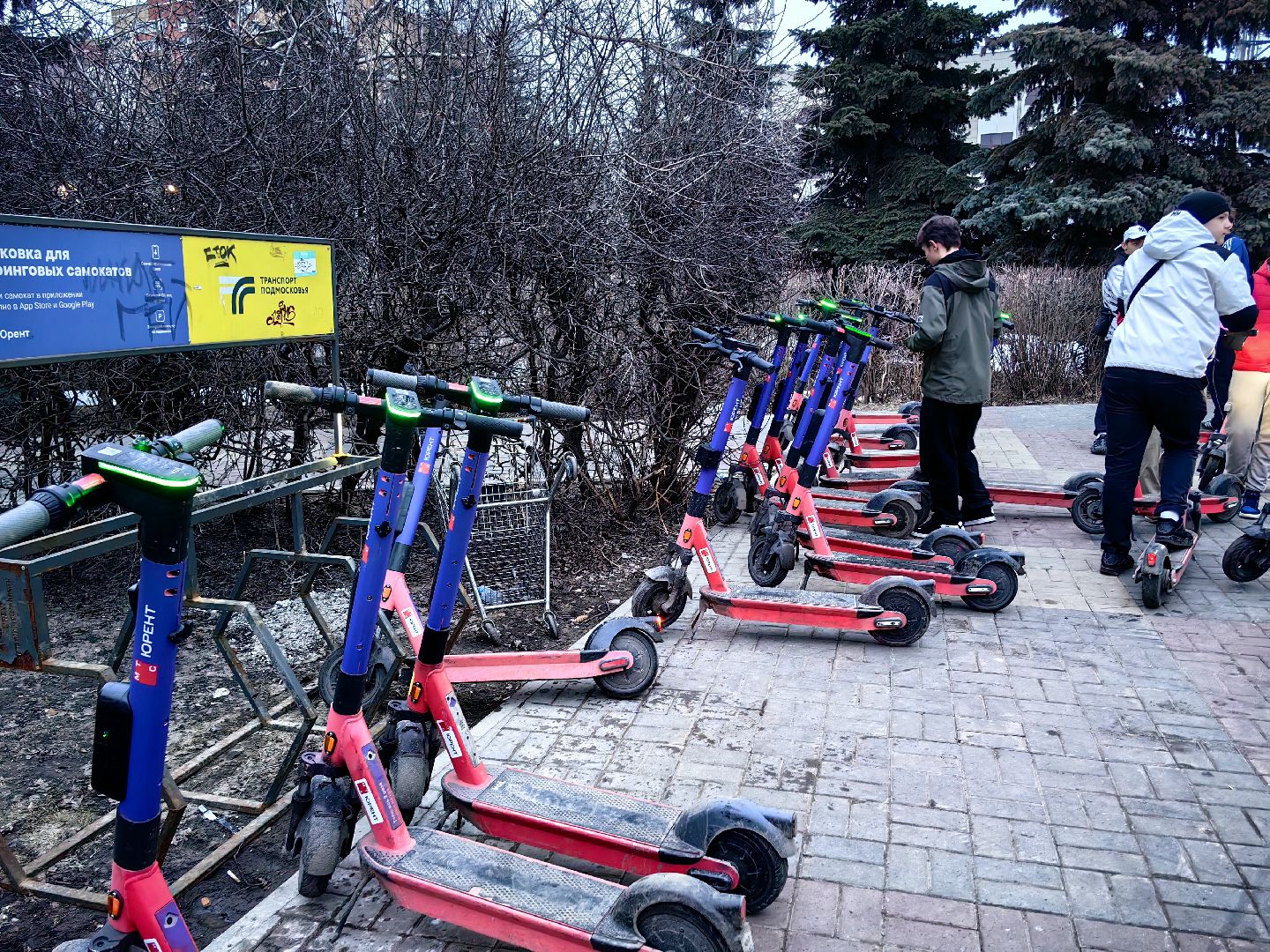 кикшеринг, самокат, велосипед, электросамокат, сезон,