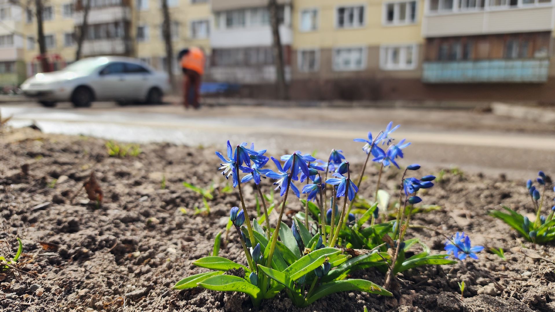уборка дворов после зимы, благоустройство, уборка города, Лосино-Петровский,