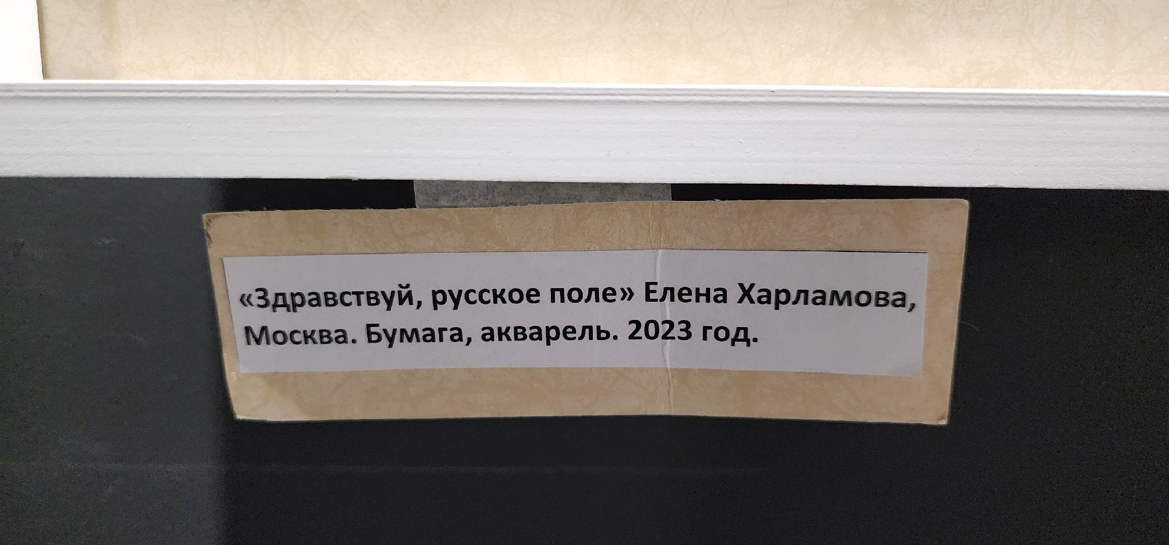 герои СВО, выставка СВОи, триптих, МКЦ Победа, Домодедово,