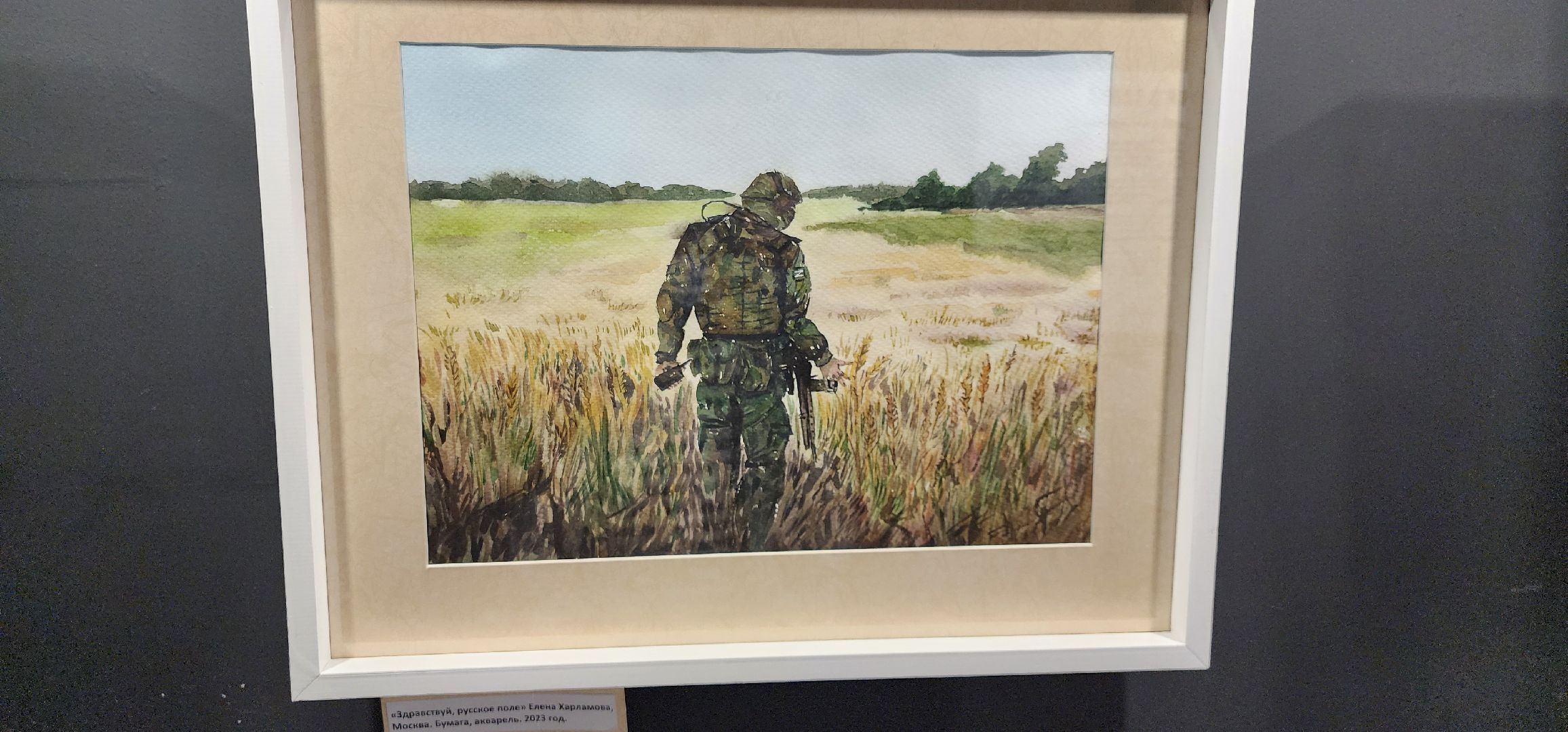 герои СВО, выставка СВОи, триптих, МКЦ Победа, Домодедово,