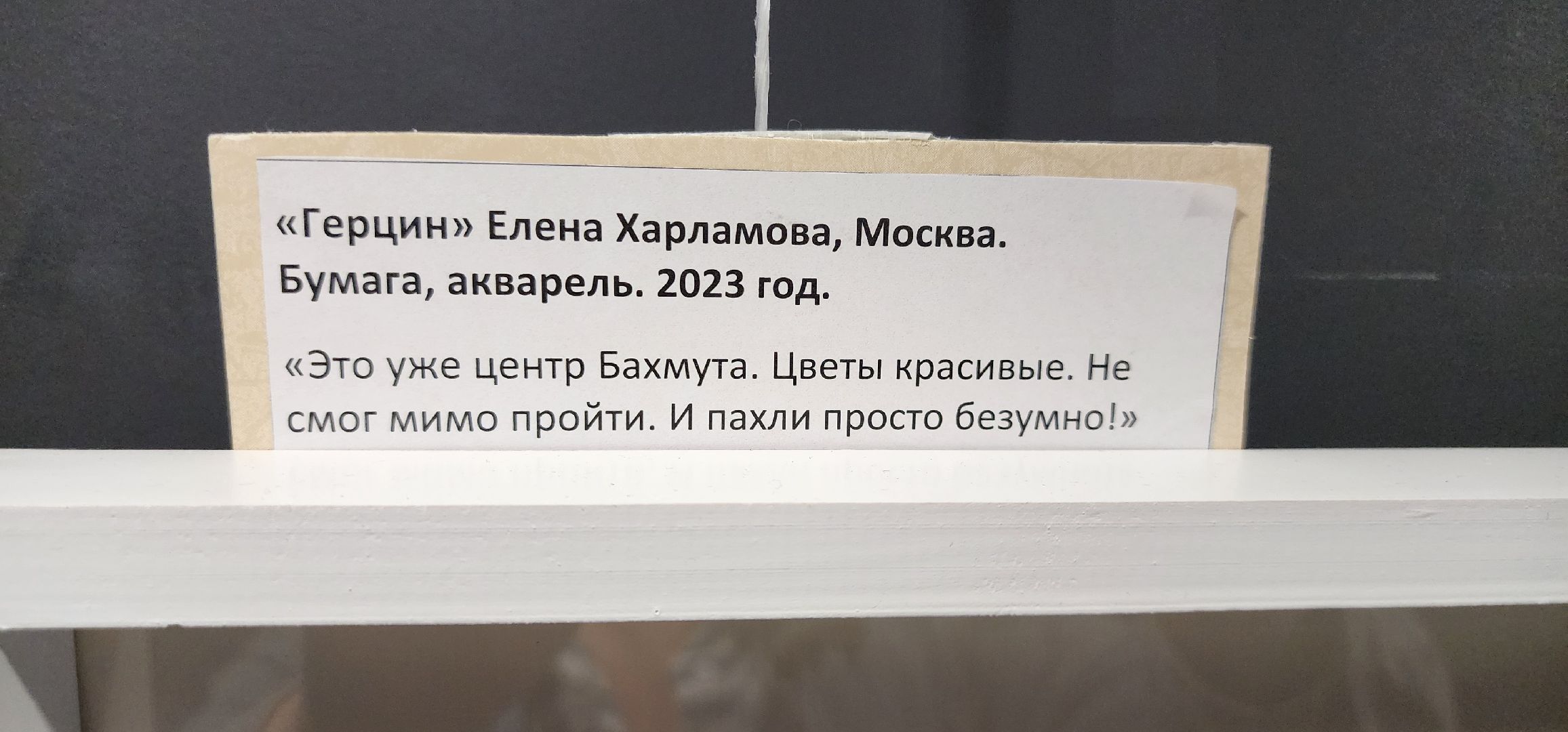 герои СВО, выставка СВОи, триптих, МКЦ Победа, Домодедово,