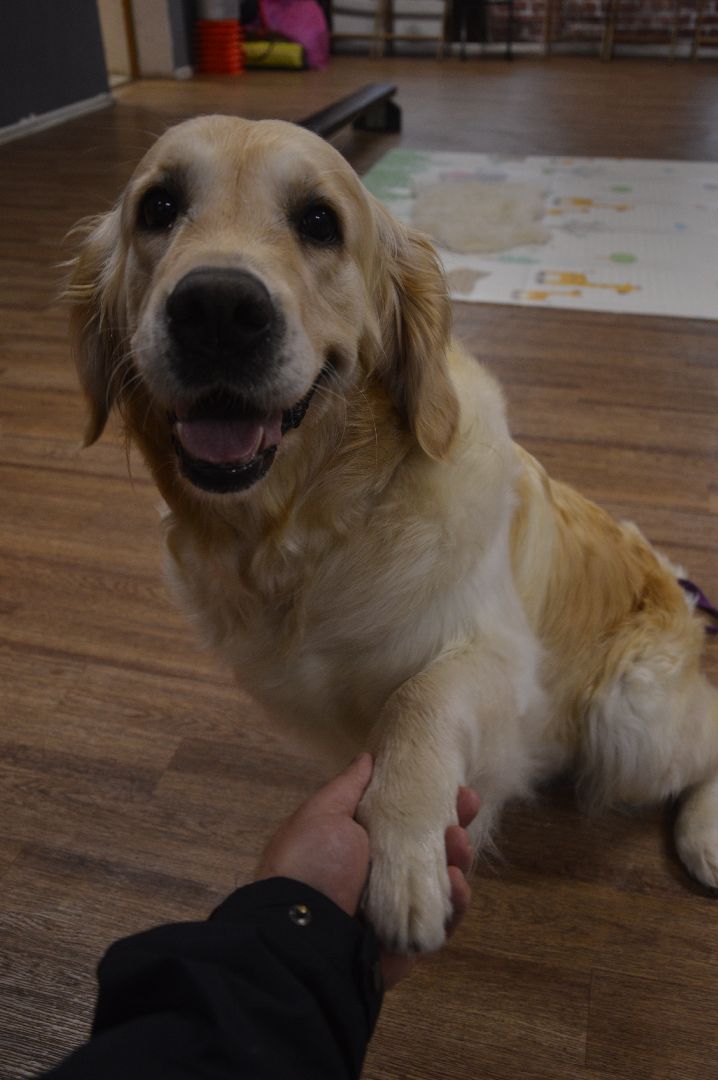 канитерапия, шатура, социализация детей,