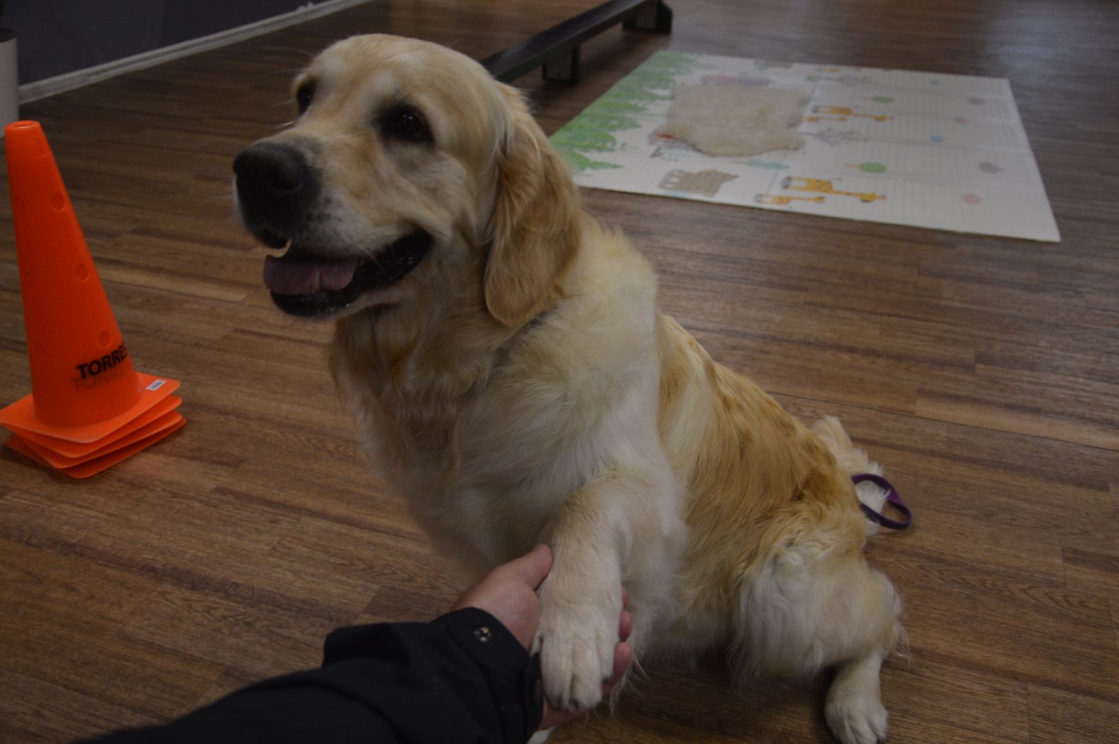 канитерапия, шатура, социализация детей,