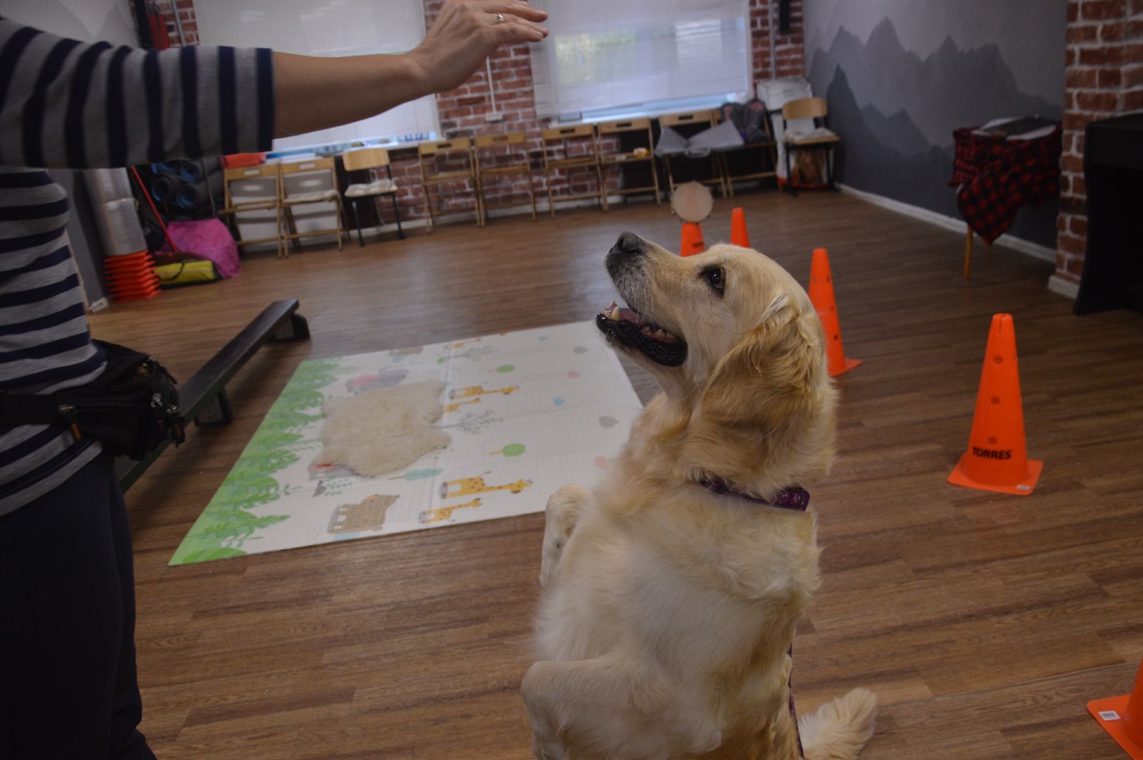 канитерапия, шатура, социализация детей,