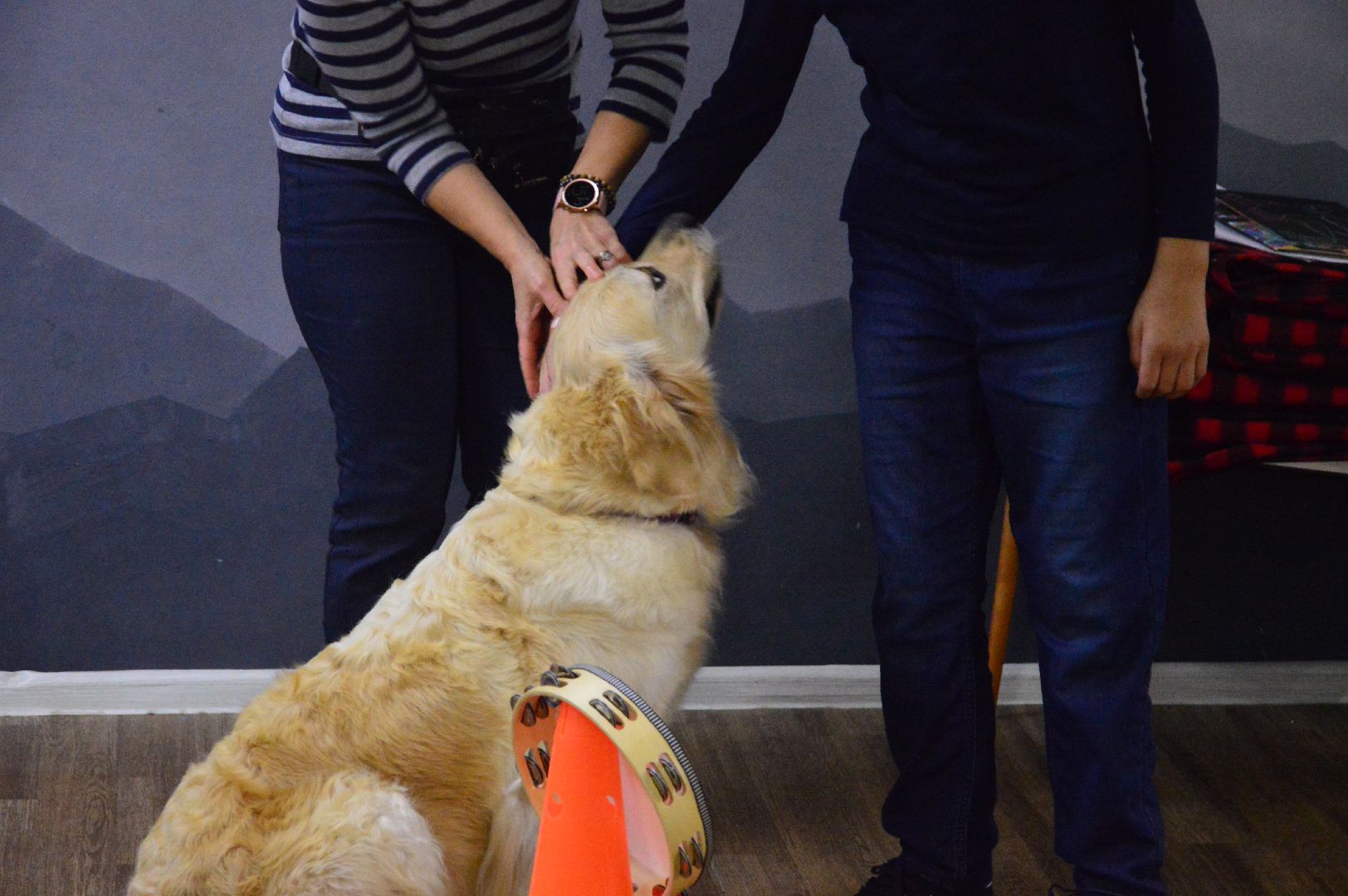 канитерапия, шатура, социализация детей,