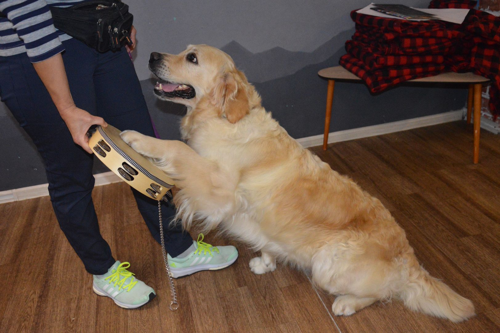 канитерапия, шатура, социализация детей,