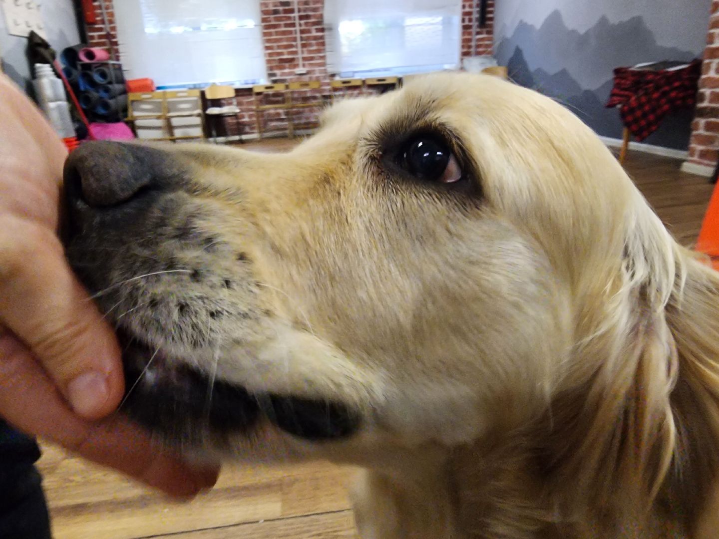 канитерапия, шатура, социализация детей,