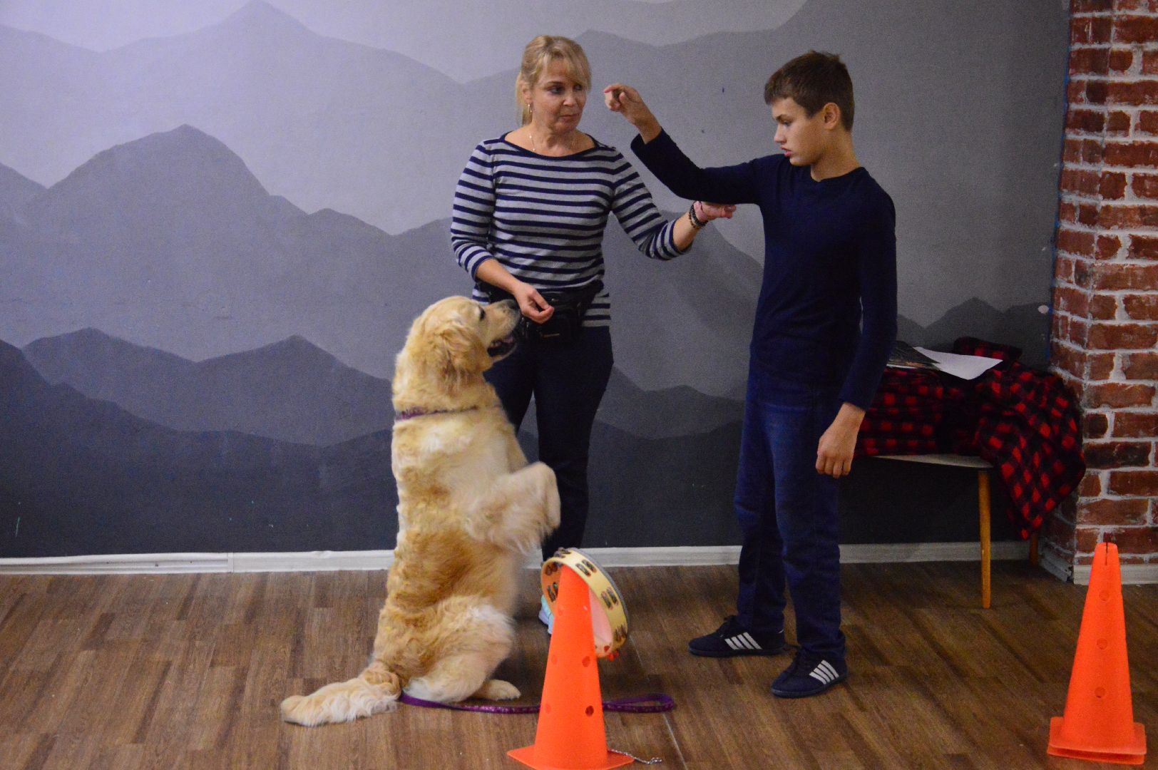 канитерапия, шатура, социализация детей,