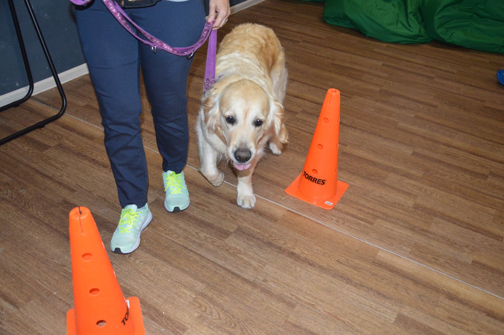 канитерапия, шатура, социализация детей,