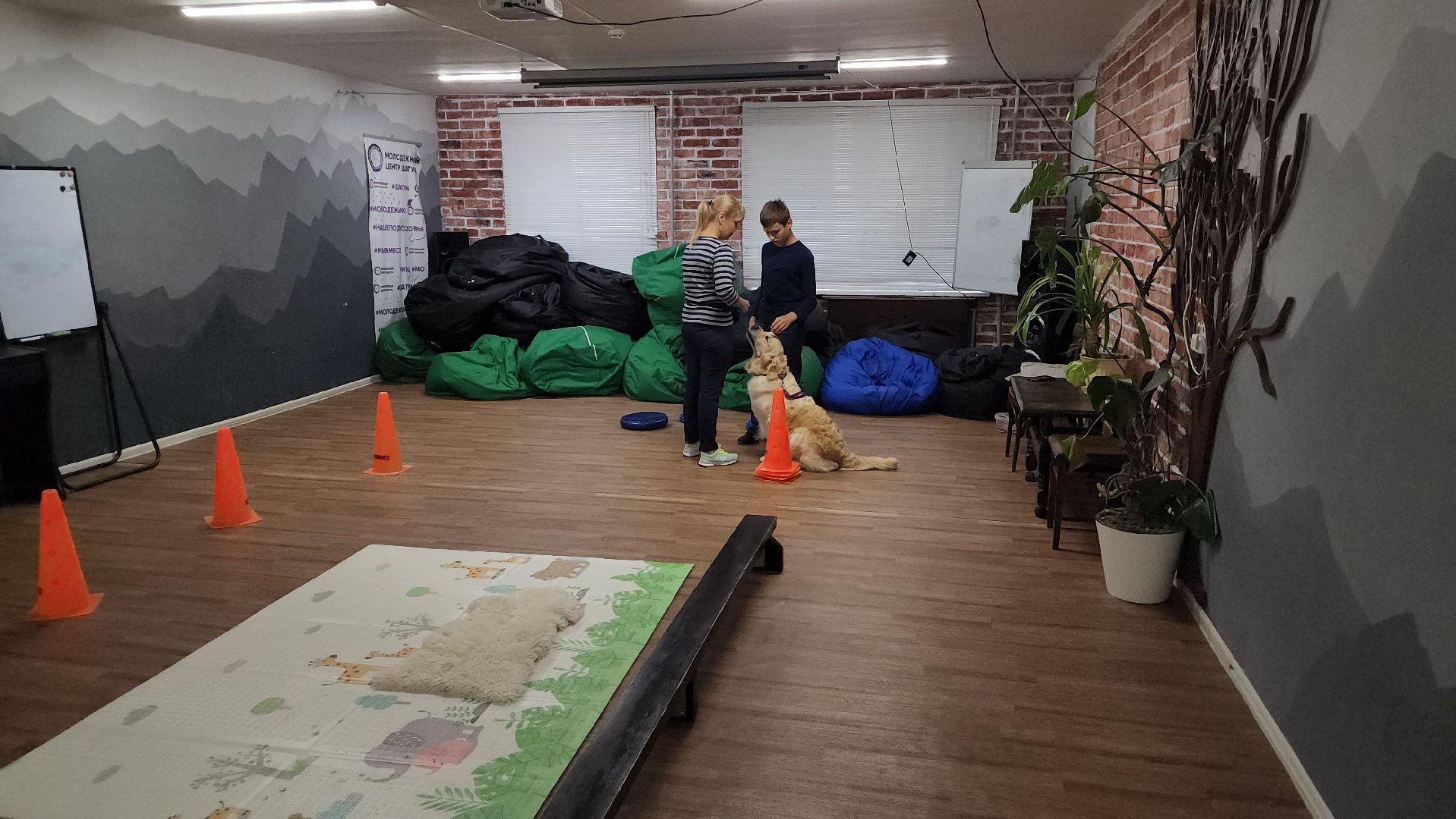 канитерапия, шатура, социализация детей,