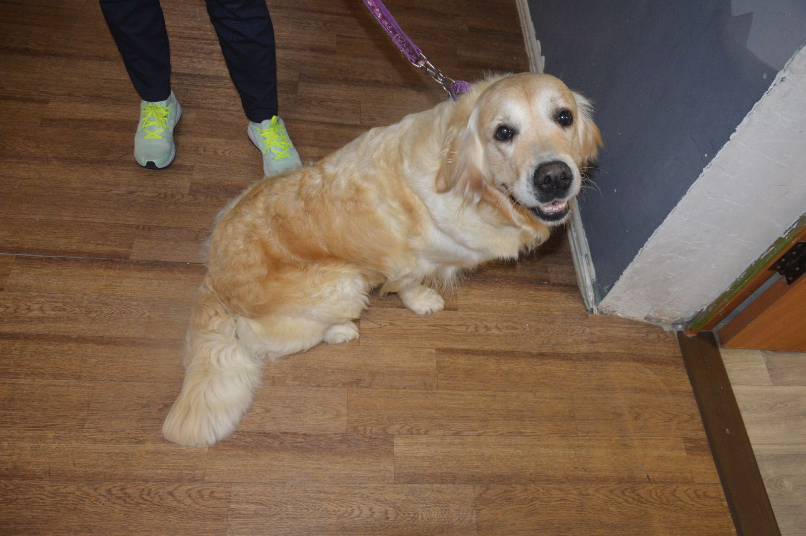 канитерапия, шатура, социализация детей,