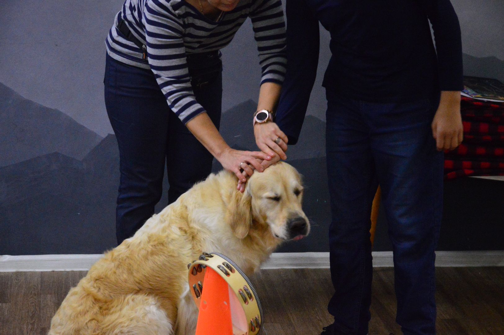 канитерапия, шатура, социализация детей,