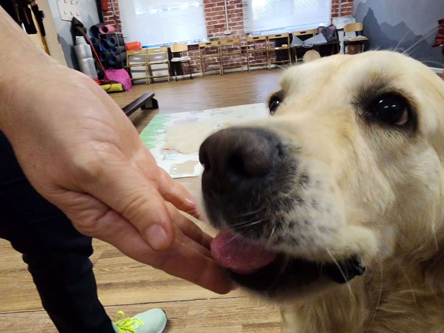 канитерапия, шатура, социализация детей,