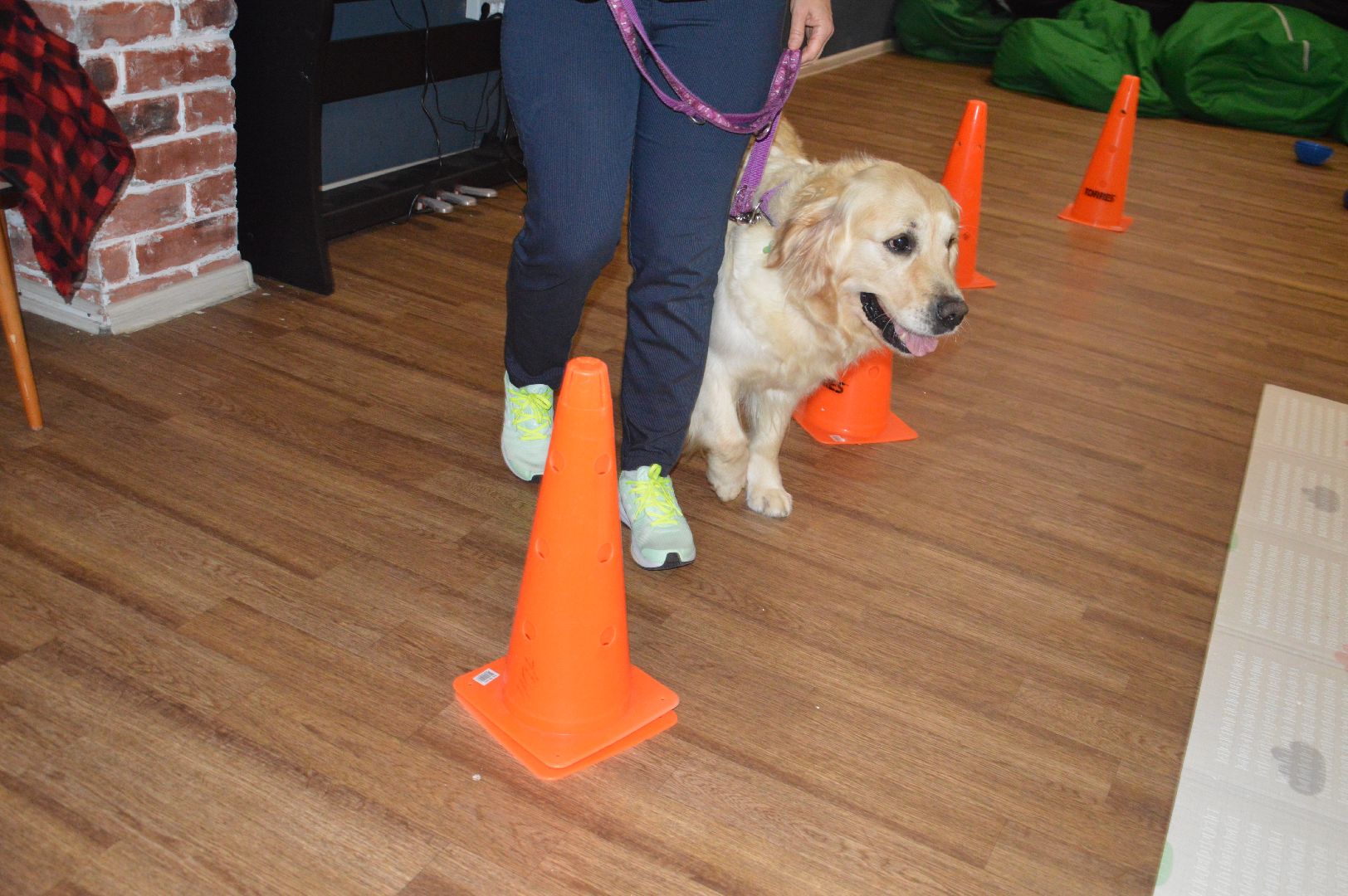 канитерапия, шатура, социализация детей,