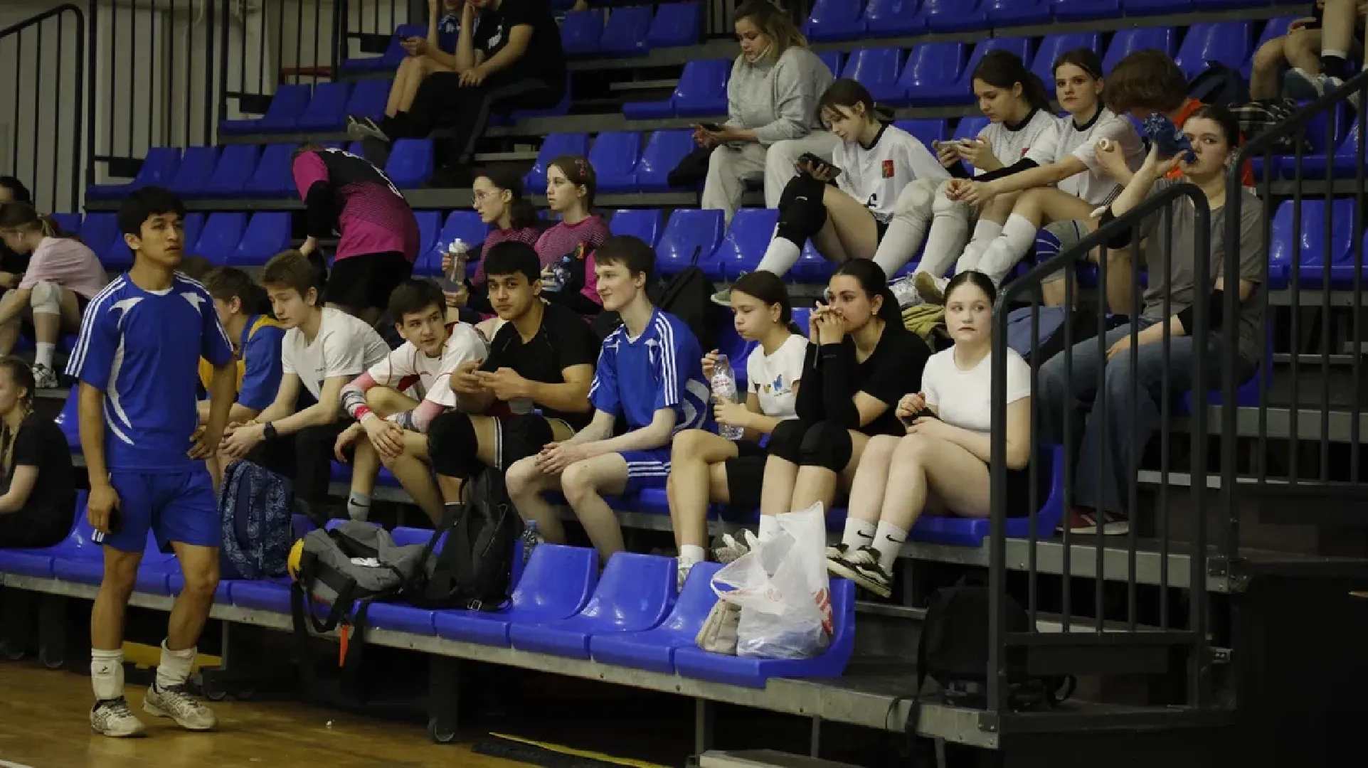 наро-фоминский городской округ, волейбол, фестиваль юношеского спорта, кск «нара»,