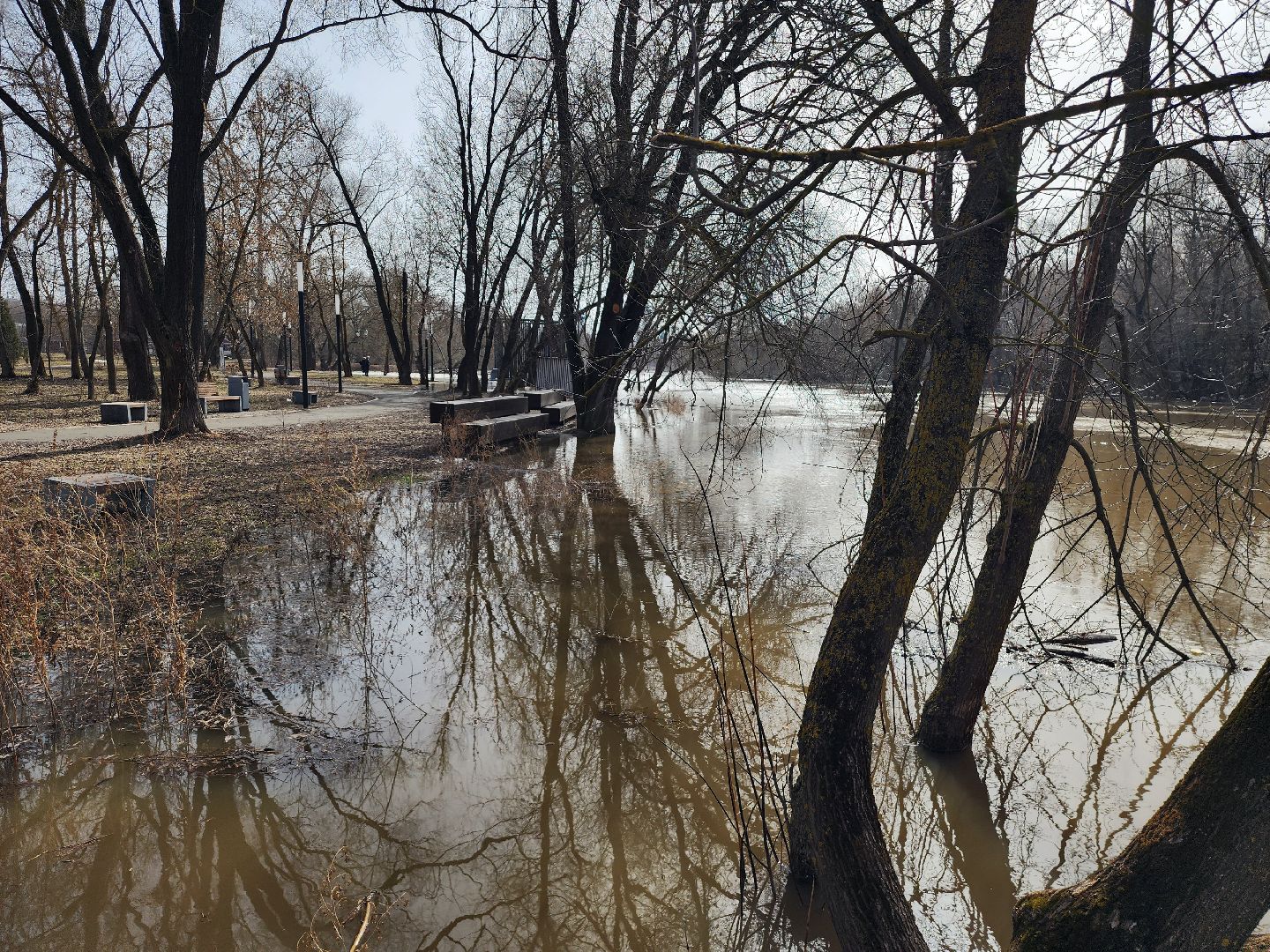 серпухов, принарский парк, река нара, разлив, МАФы, подтопления,