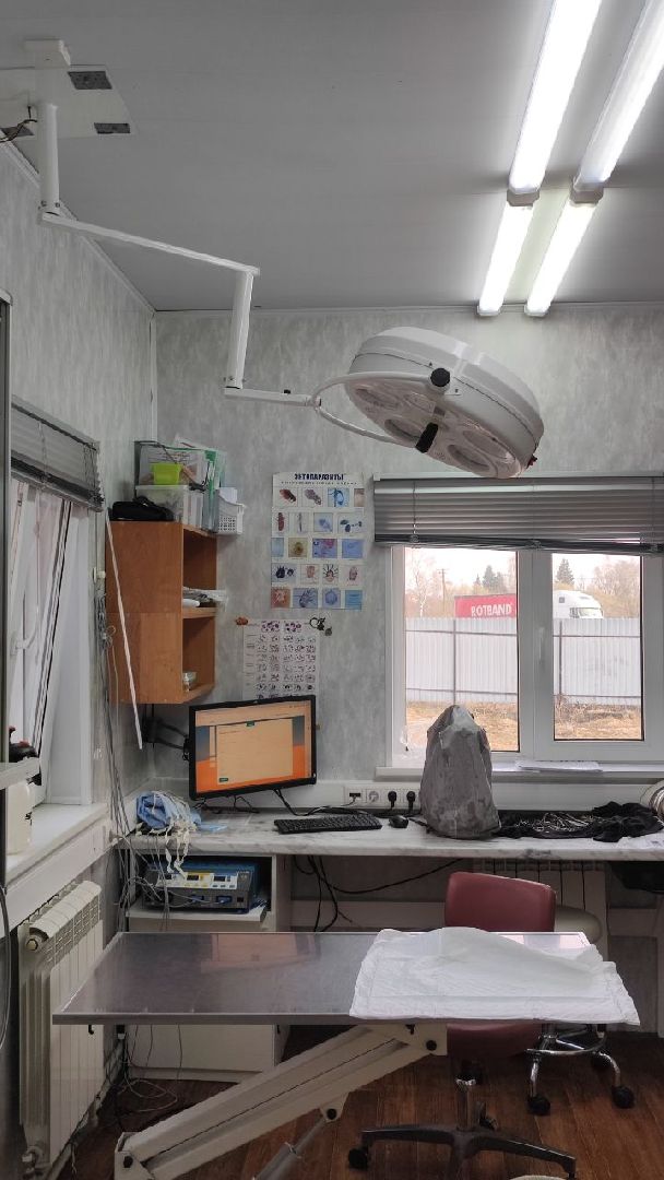 волоколамск, клещи,