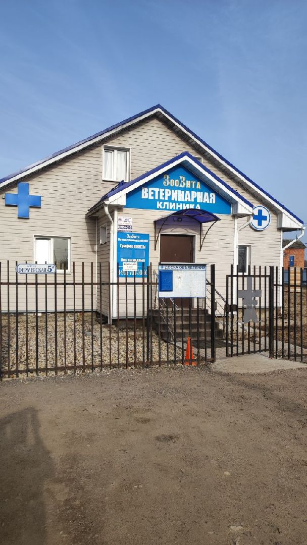 волоколамск, клещи,