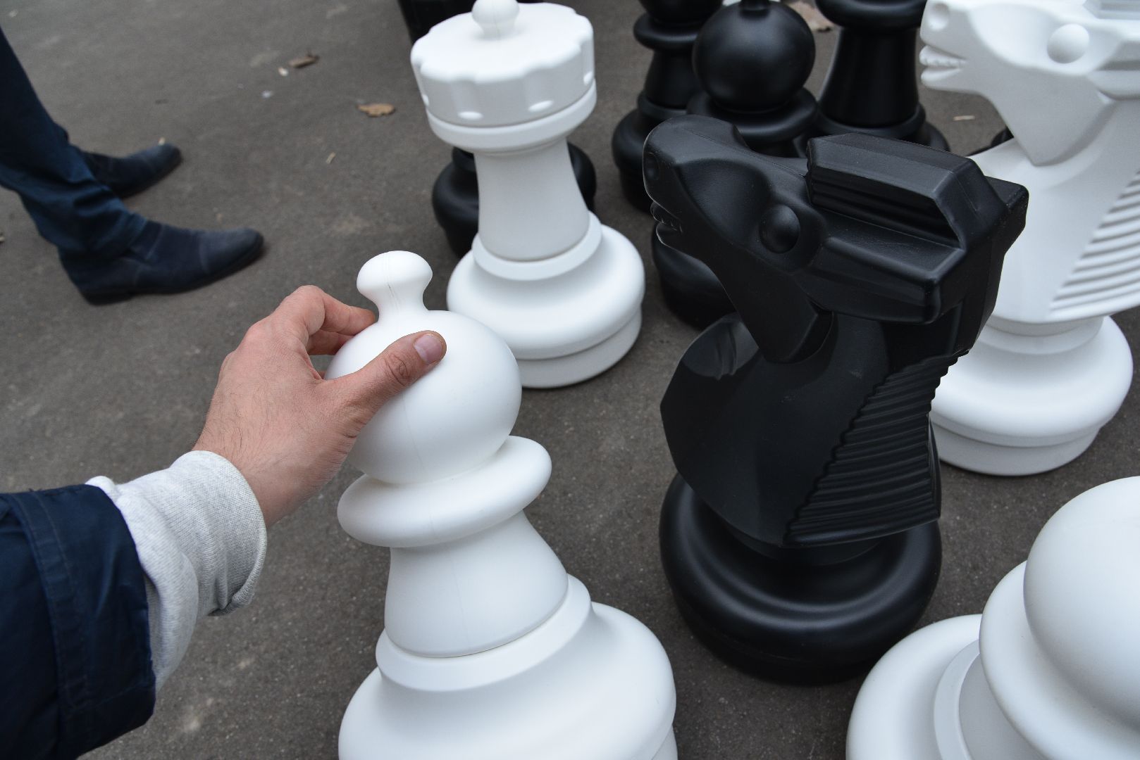 лотошино, лотошинский парк, шахматы, парки подмосковья,