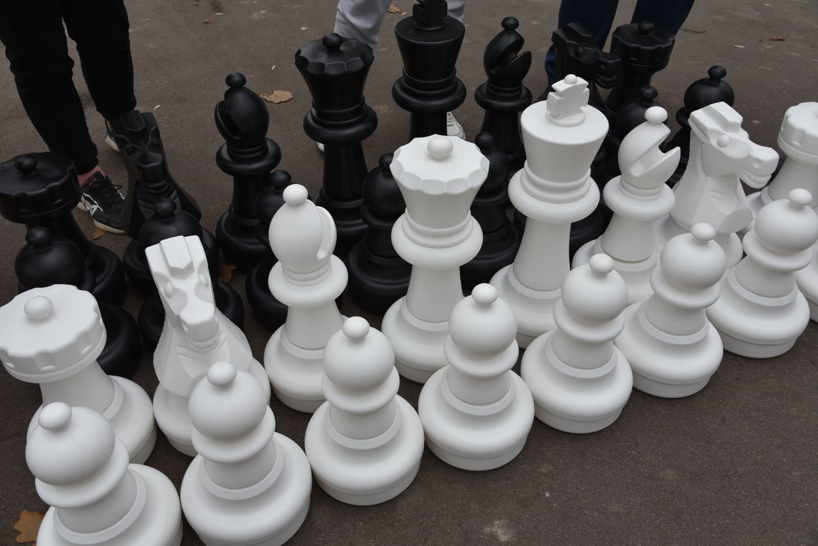 лотошино, лотошинский парк, шахматы, парки подмосковья,