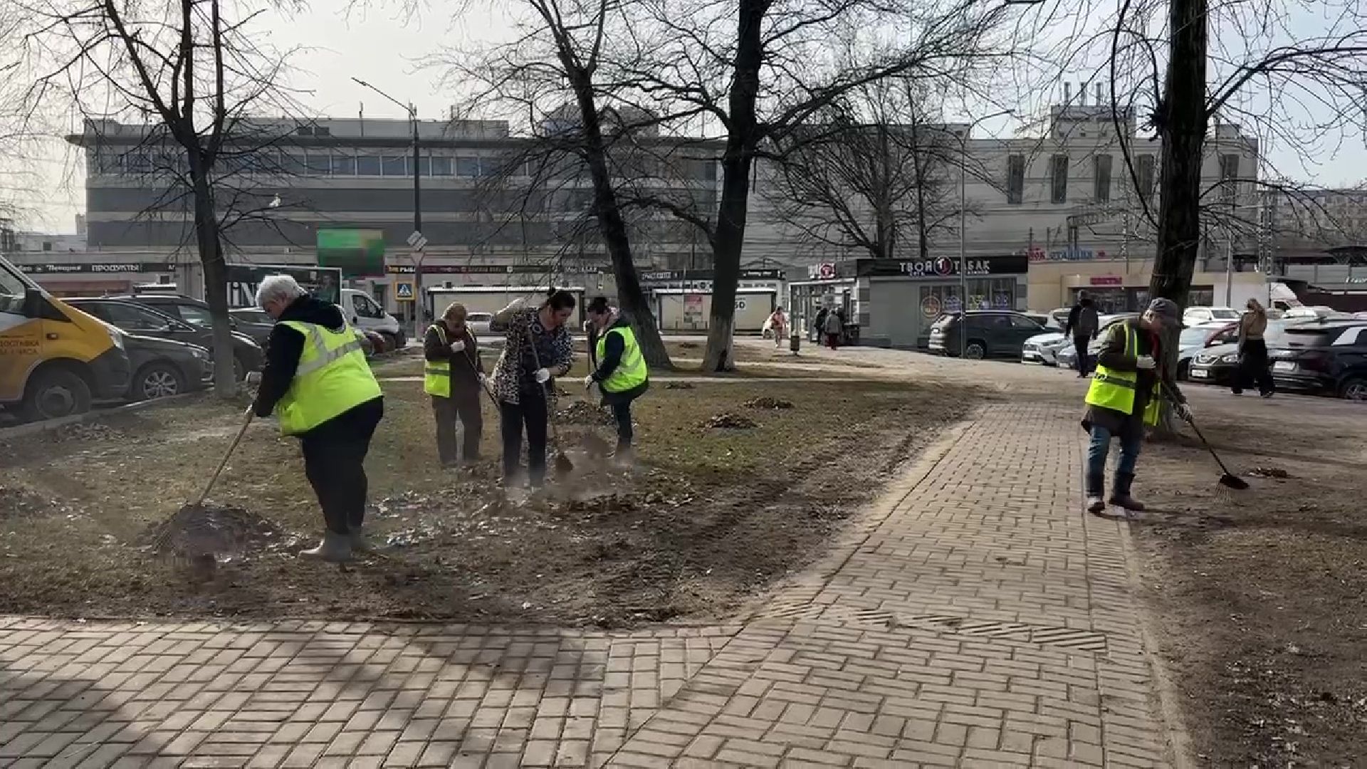 Реутов, благоустройство, уборка листвы, покраска деревьев, чистое подмосковье,