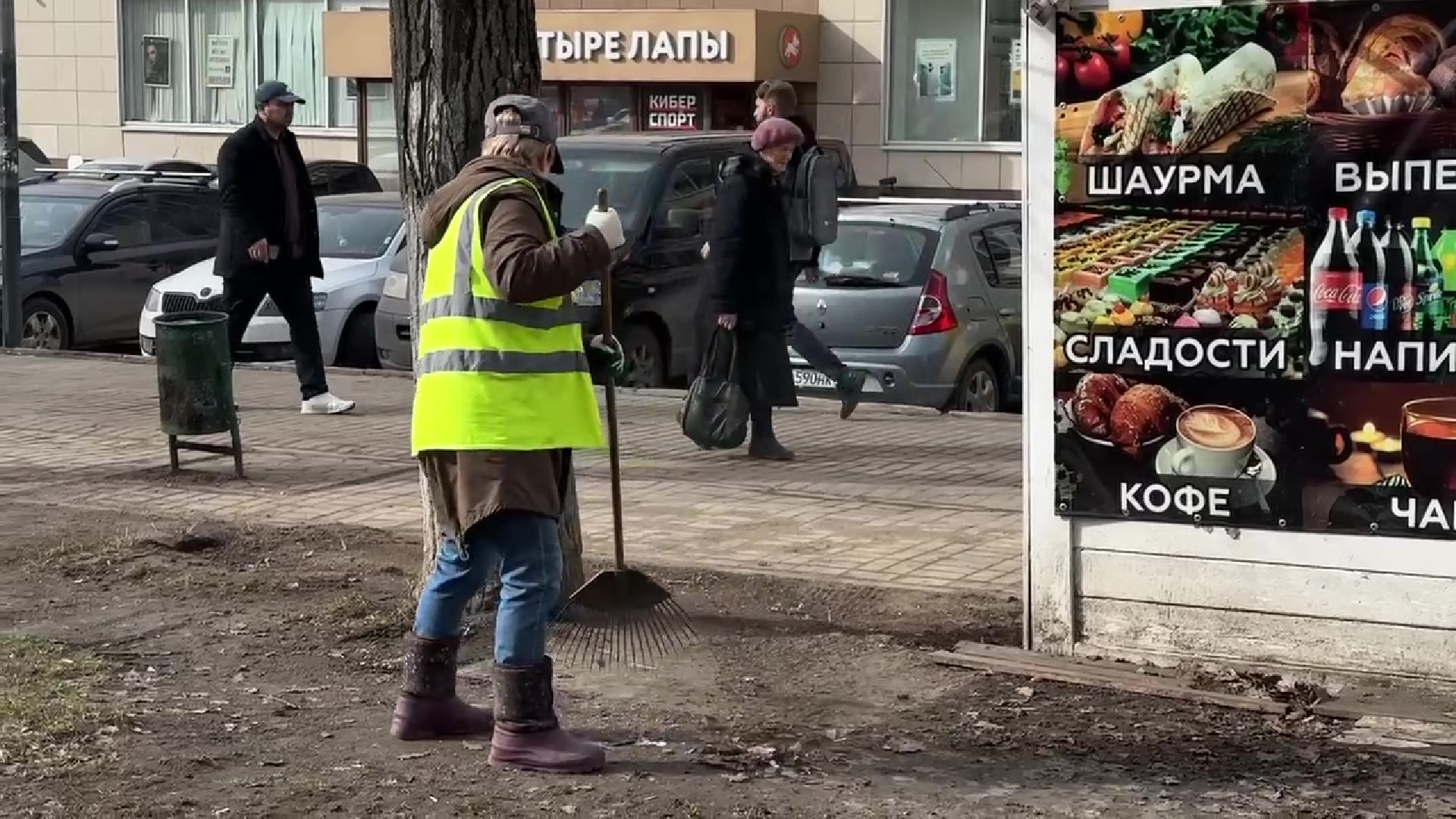 Реутов, благоустройство, уборка листвы, покраска деревьев, чистое подмосковье,