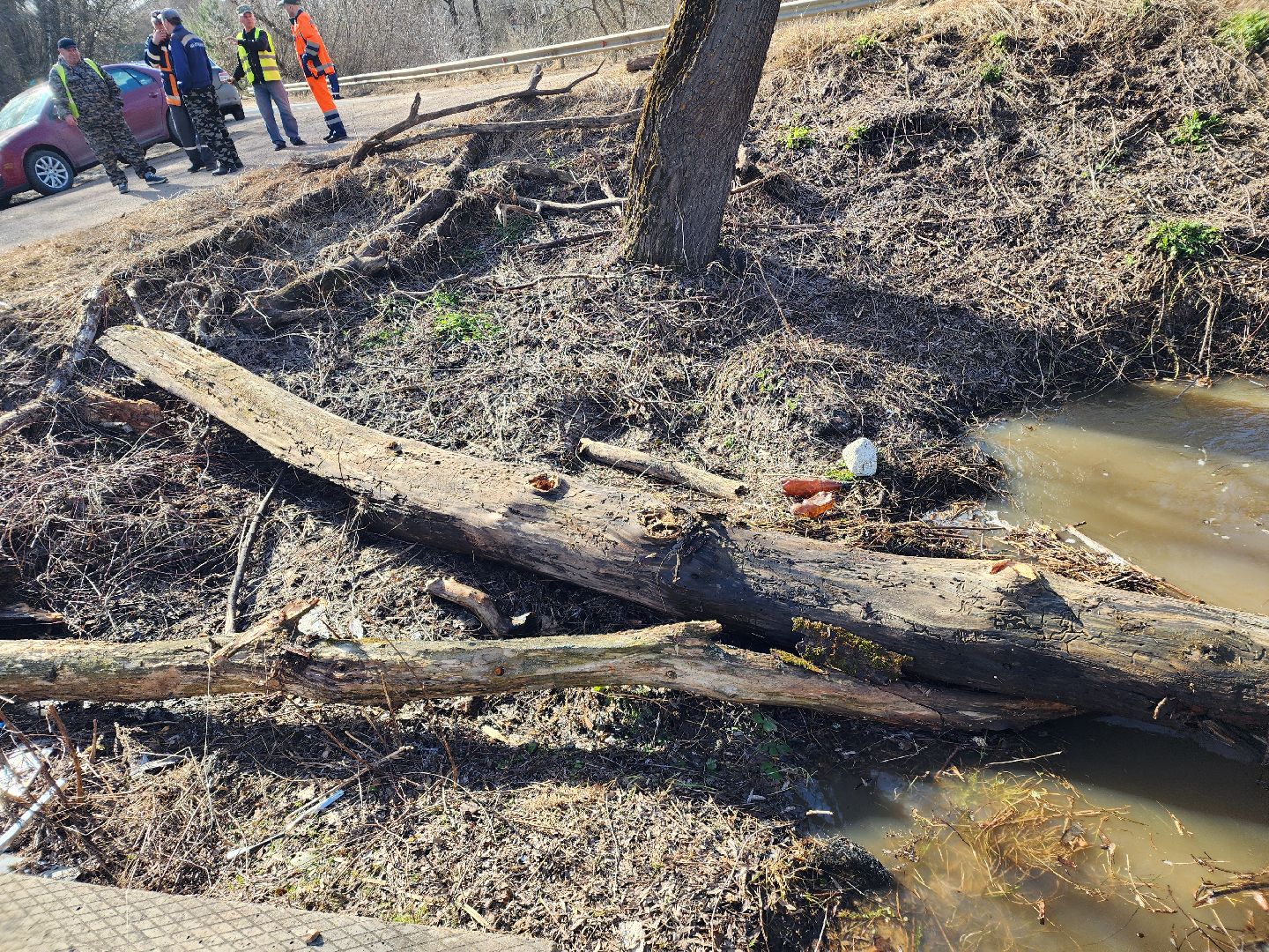 подтопления, разлив реки, борьба с паводком,