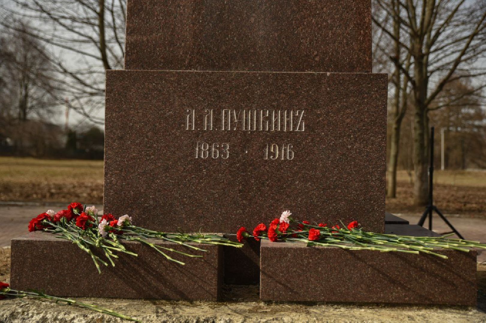 Бронницы, Памятник Пушкину, Возложение цветов, 25 лет памятнику Пушкина, Мемориальный парк Пушкина,