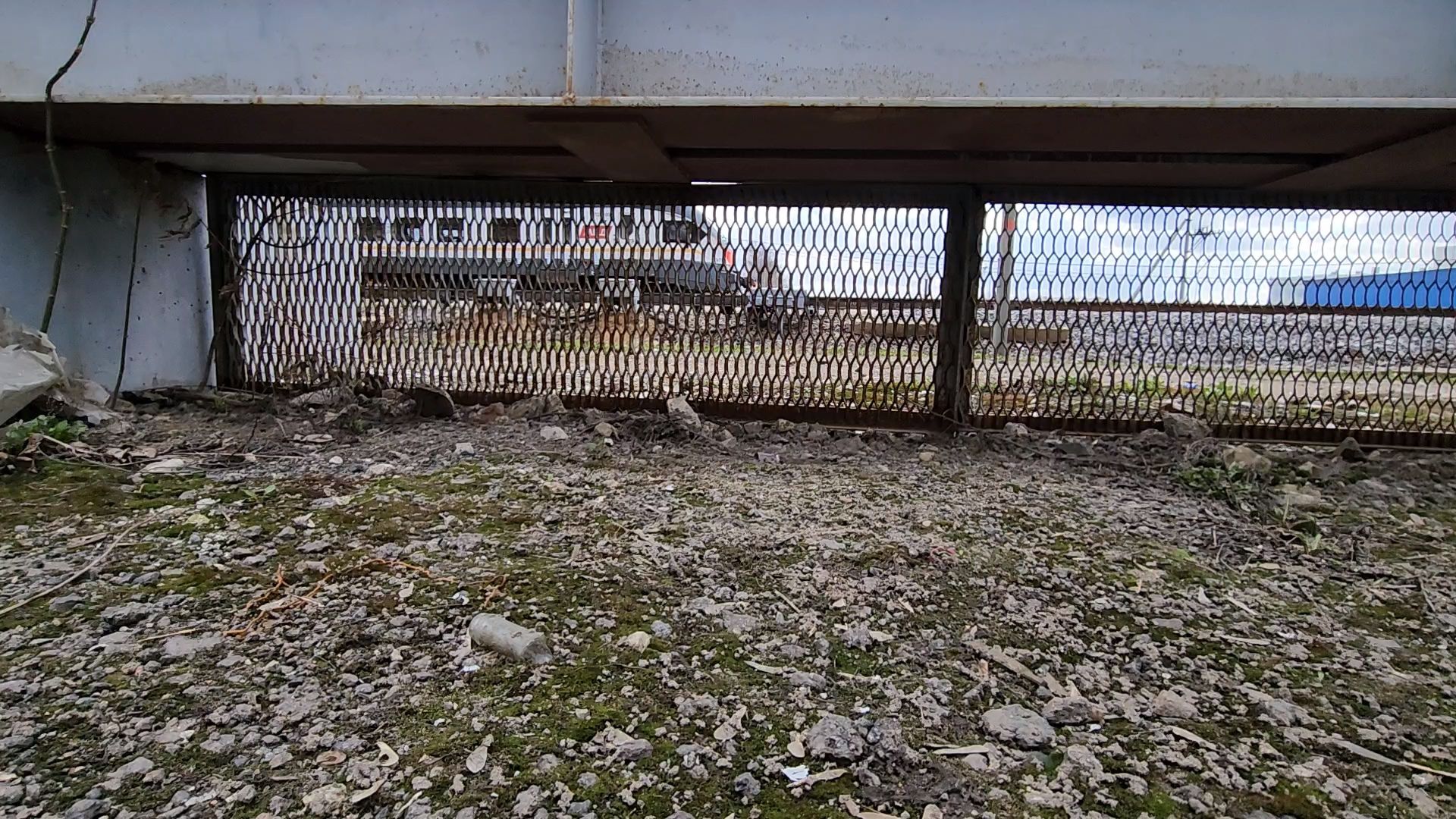 Одинцово, железная дорога, безопасность,