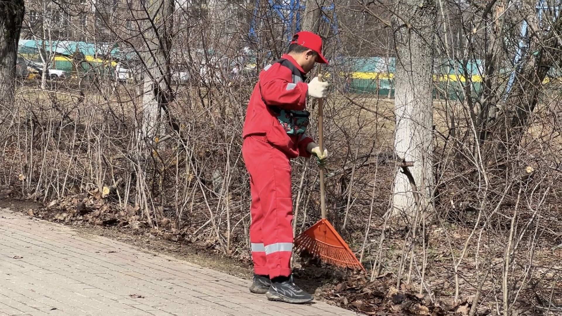 химки, месяц чистоты и благоустройства, благоустройство, уборка общественных территорий, уборка парка,