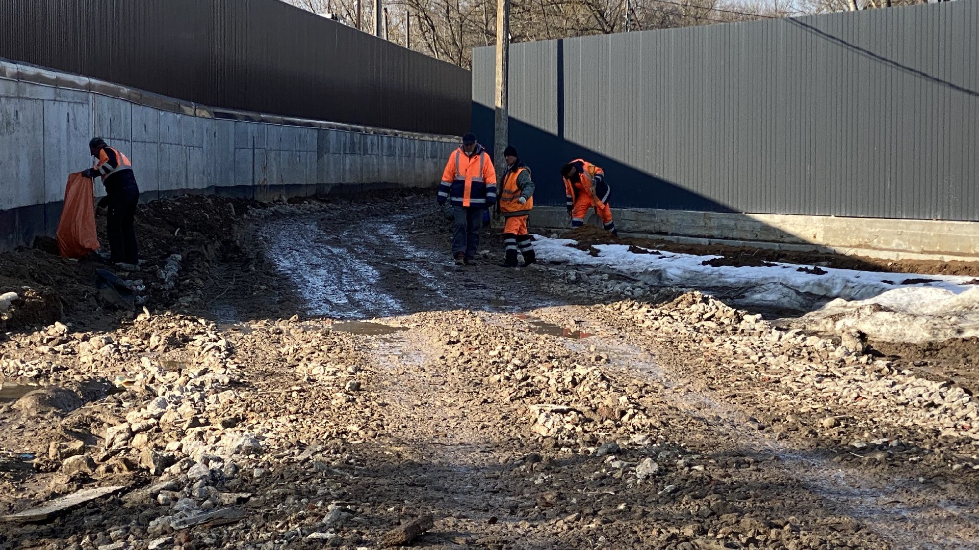 подтопления, приют для животных, дороги, спасение животных, приют Домошний,