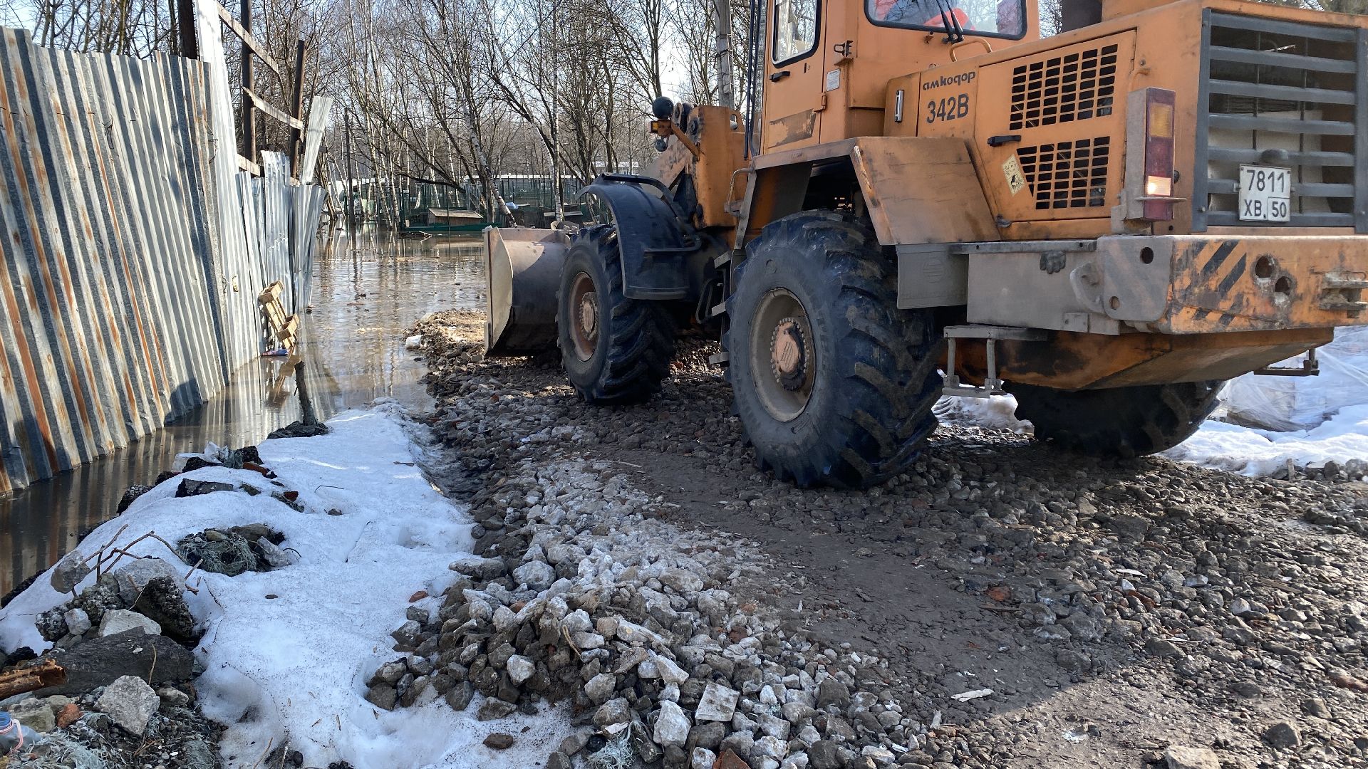 подтопления, приют для животных, дороги, спасение животных, приют Домошний,