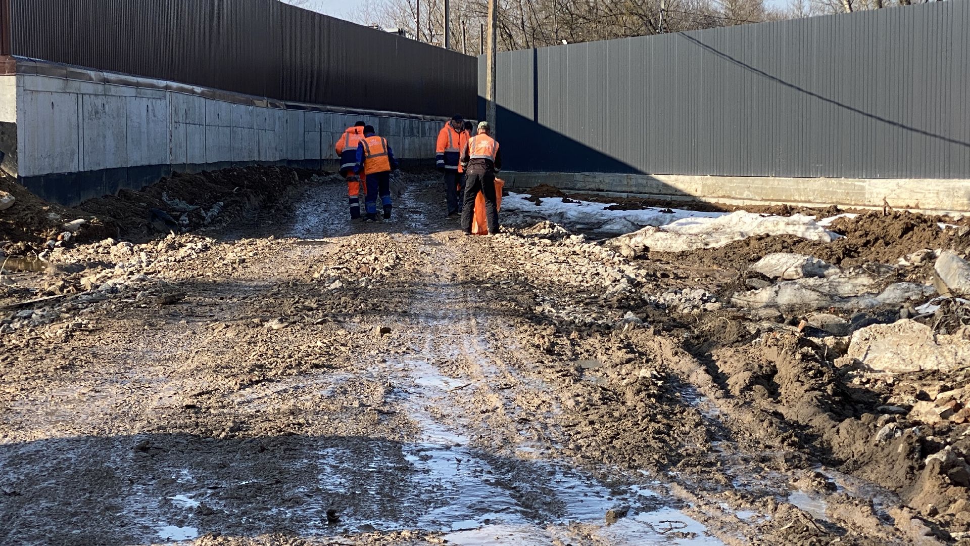 подтопления, приют для животных, дороги, спасение животных, приют Домошний,