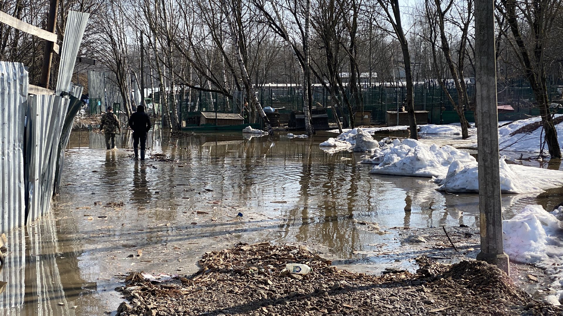 подтопления, приют для животных, дороги, спасение животных, приют Домошний,
