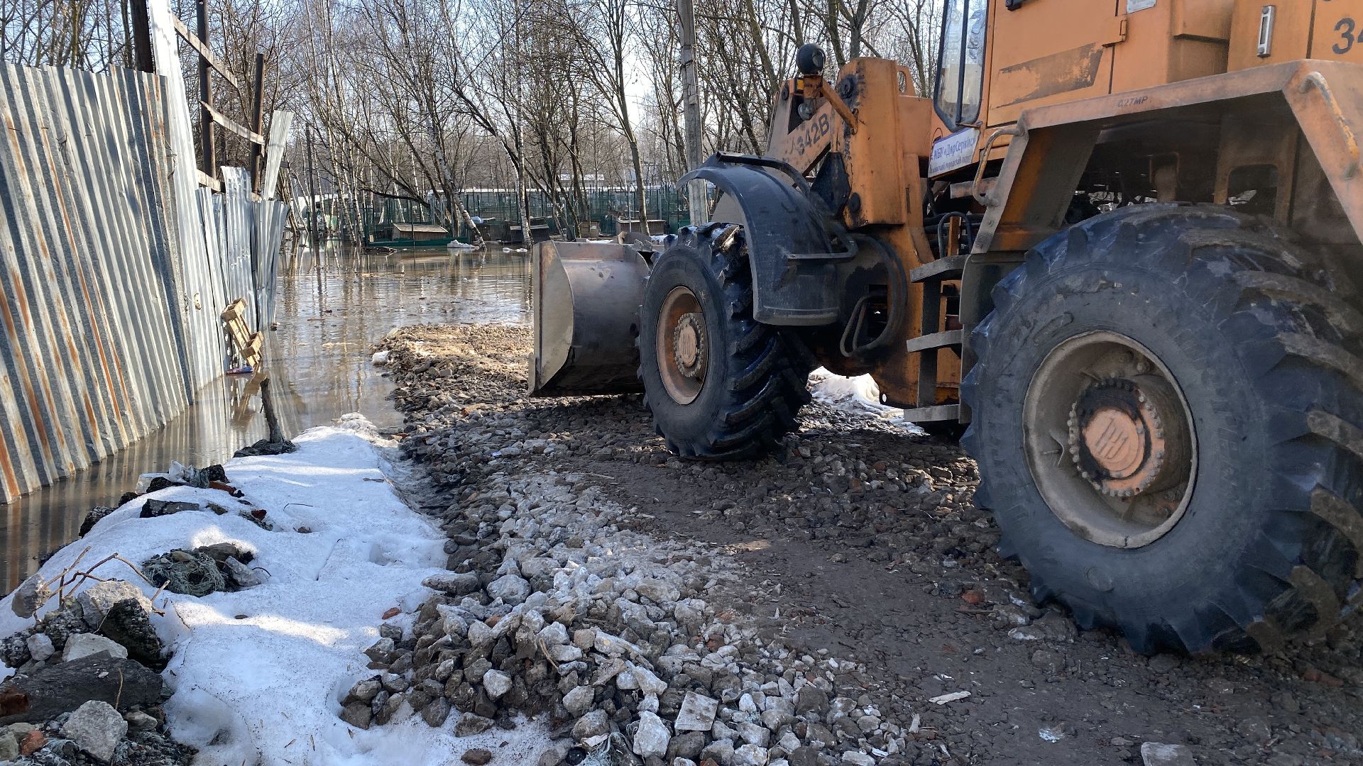 подтопления, приют для животных, дороги, спасение животных, приют Домошний,