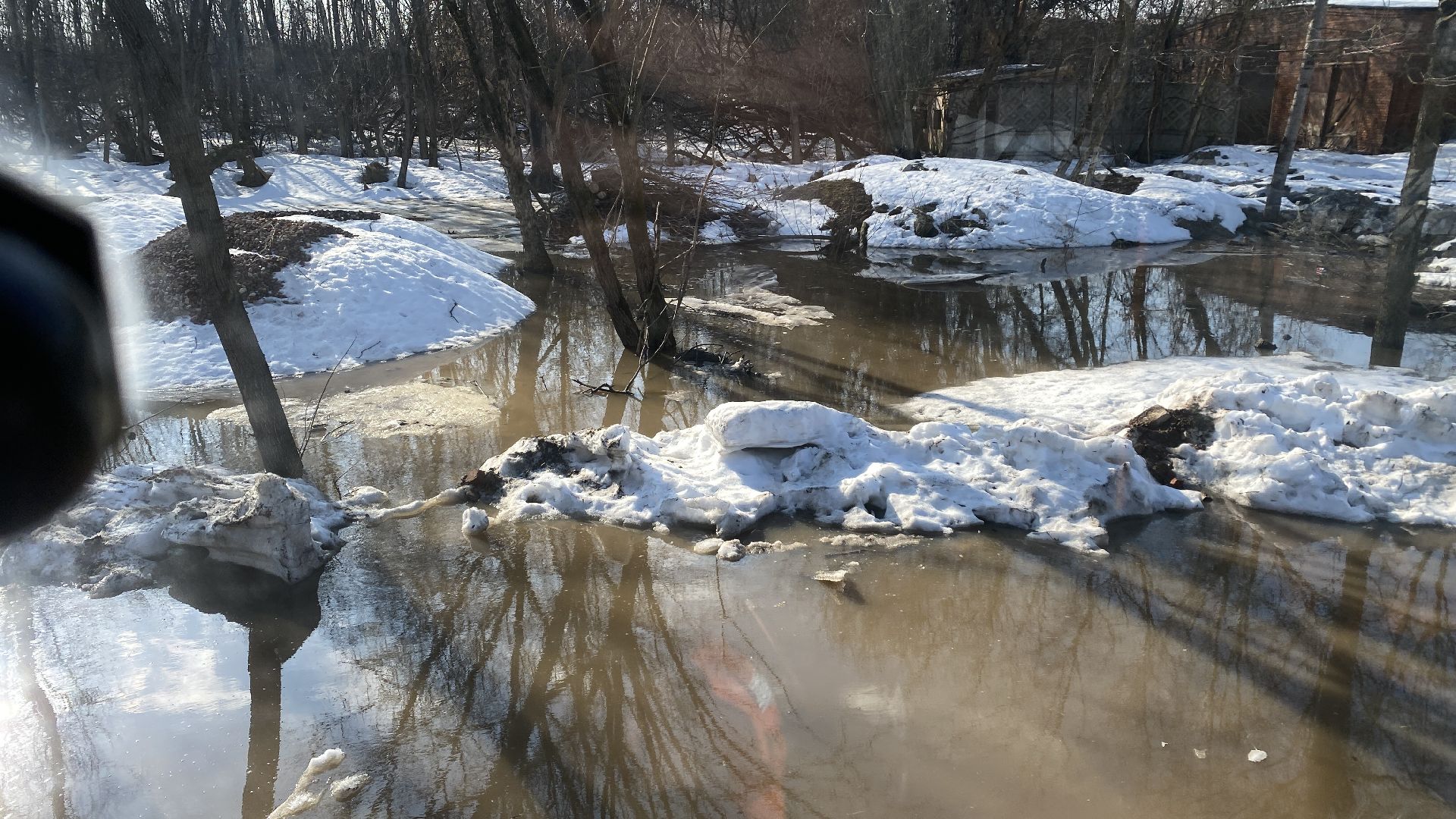 подтопления, приют для животных, дороги, спасение животных, приют Домошний,