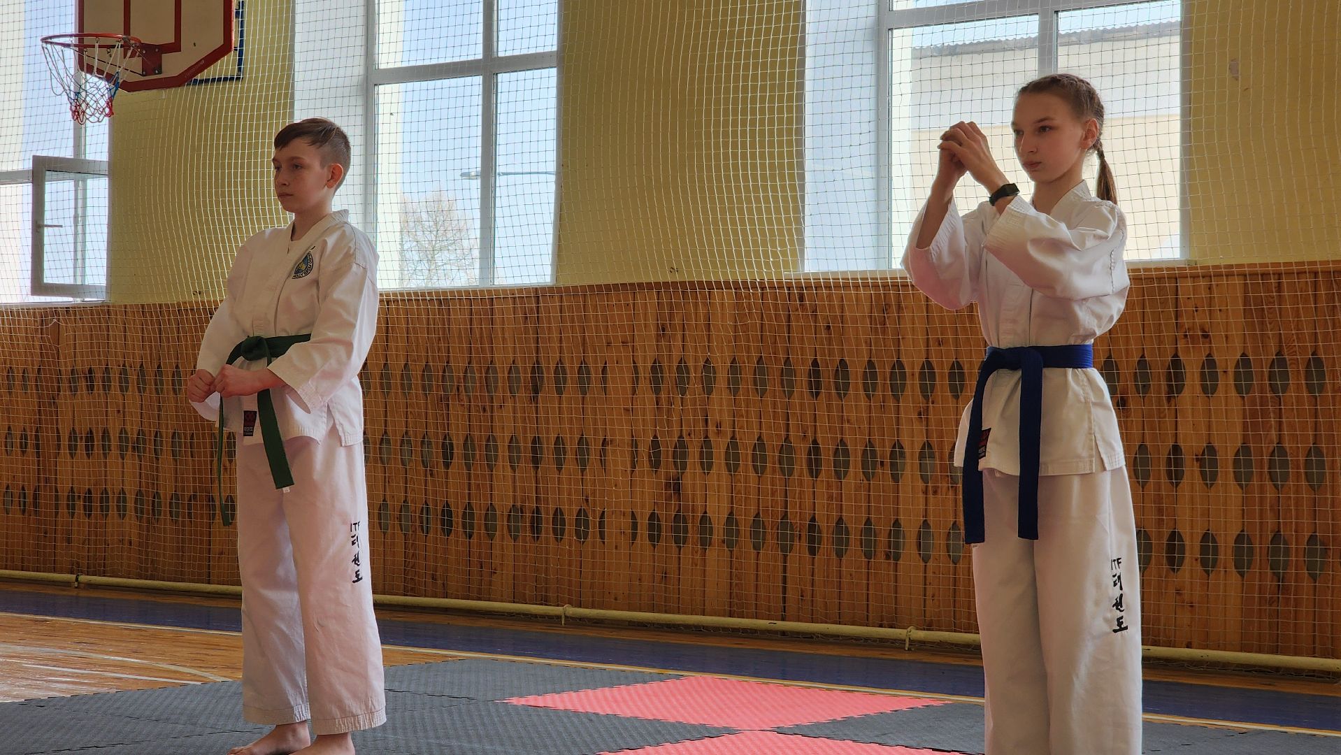 ступино, теквондо, спорт подмосковья,