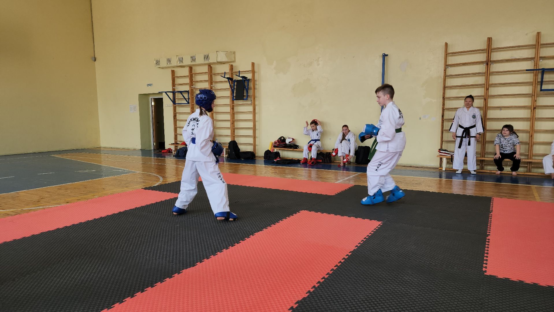 ступино, теквондо, спорт подмосковья,